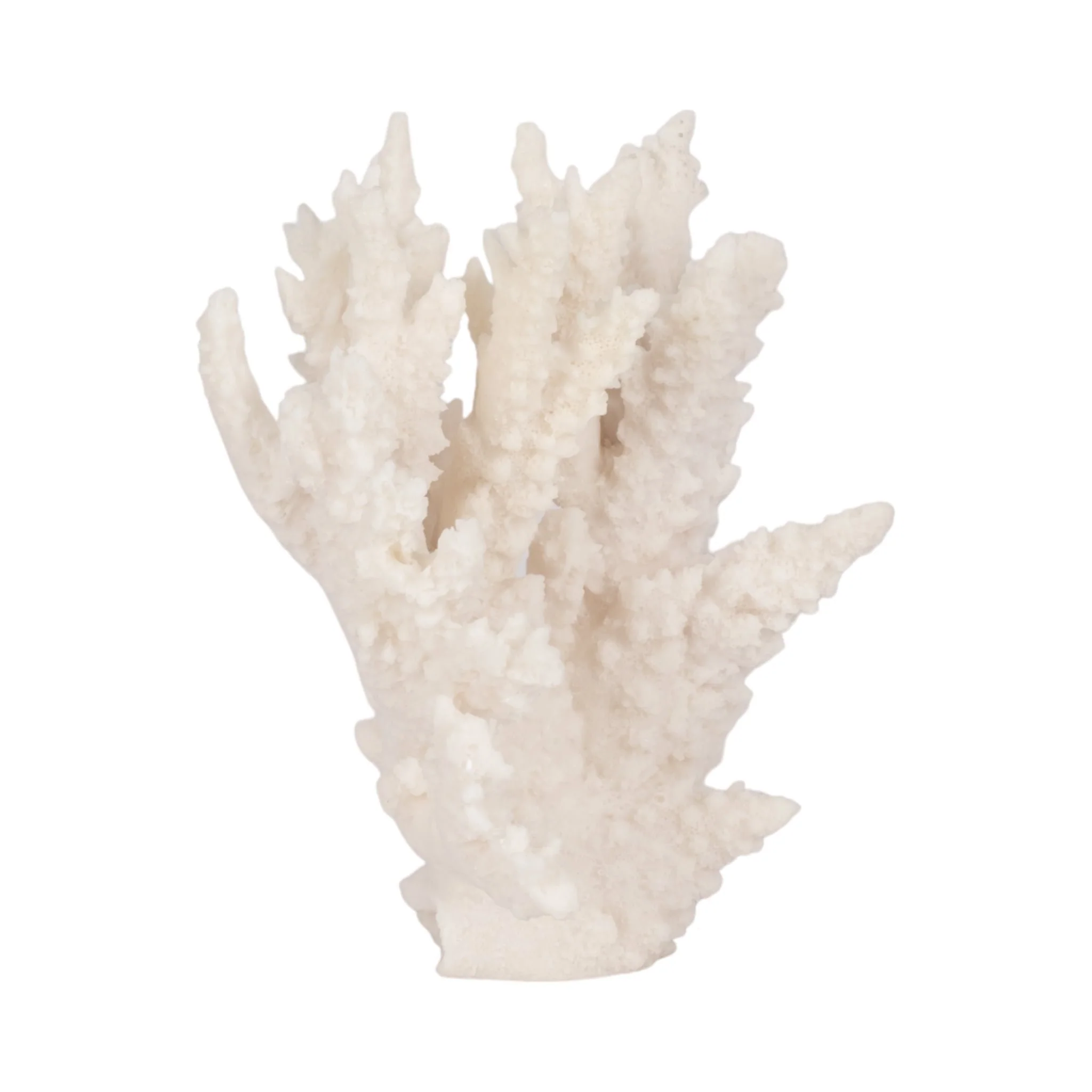 10" Coral Reef Decor, White - Image 2