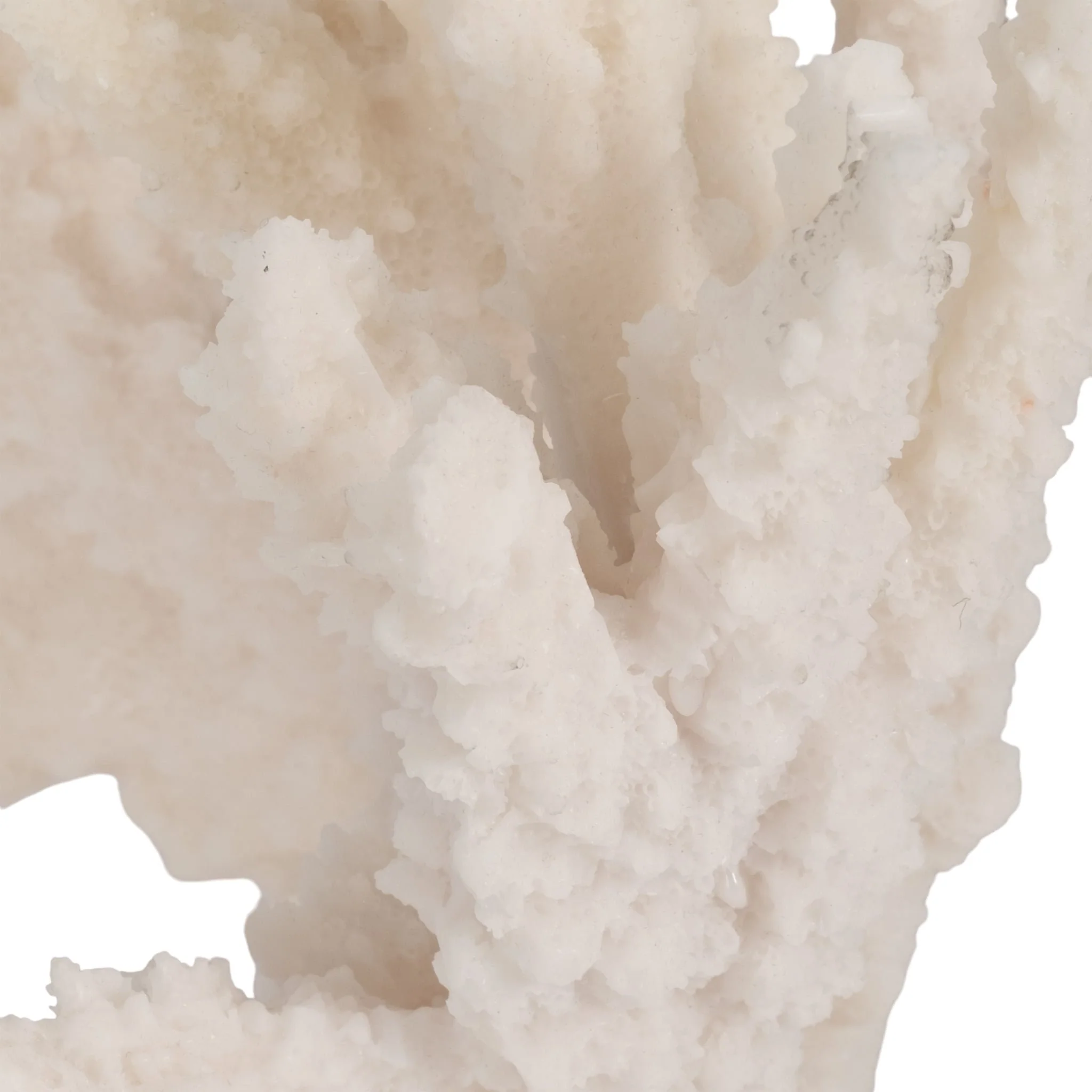 10" Coral Reef Decor, White - Image 6