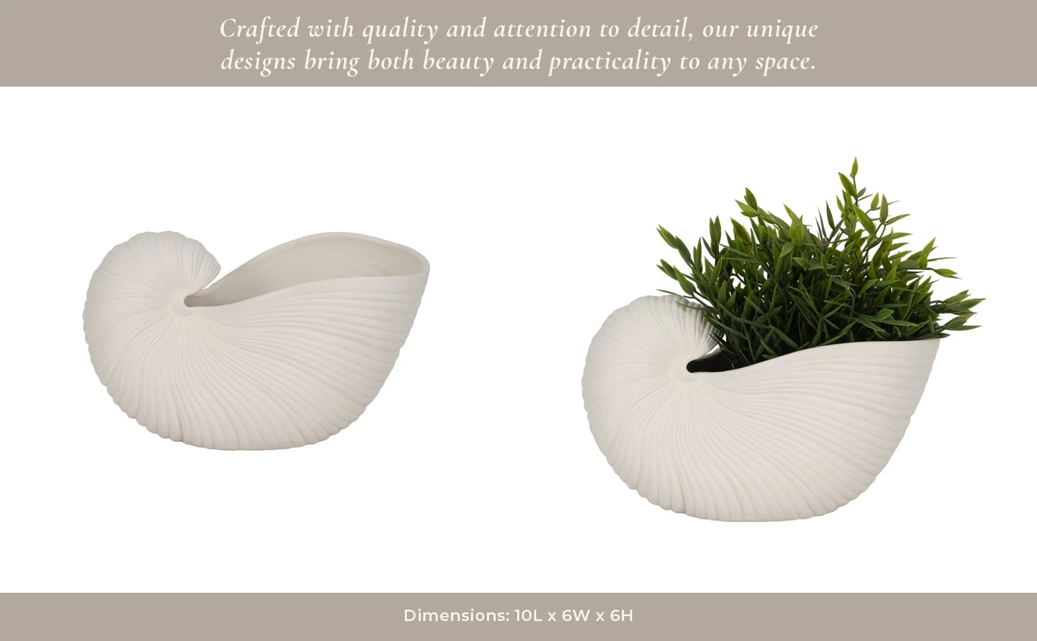 10" Nautilus Shell Planter, White - Image 14