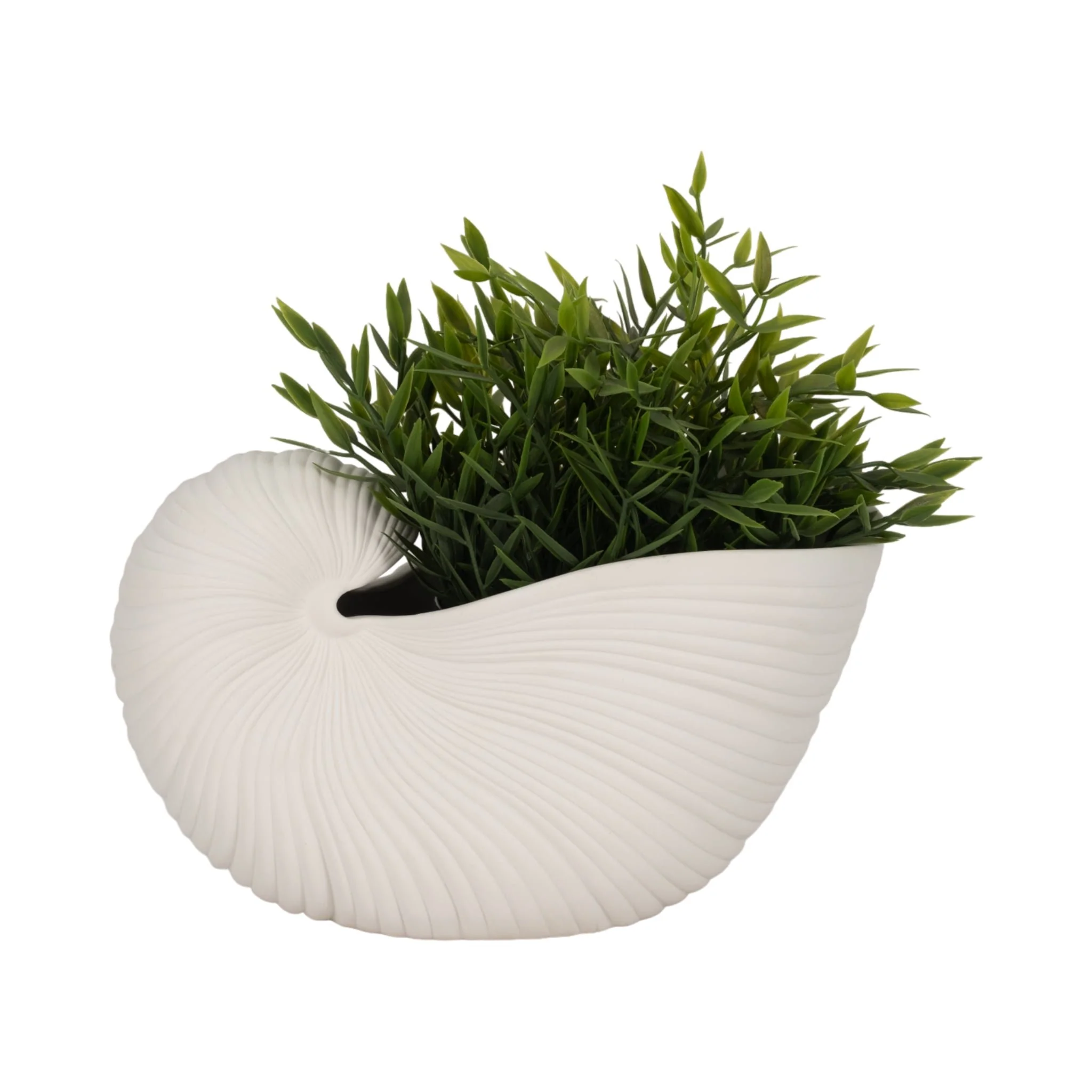 10" Nautilus Shell Planter, White - Image 2