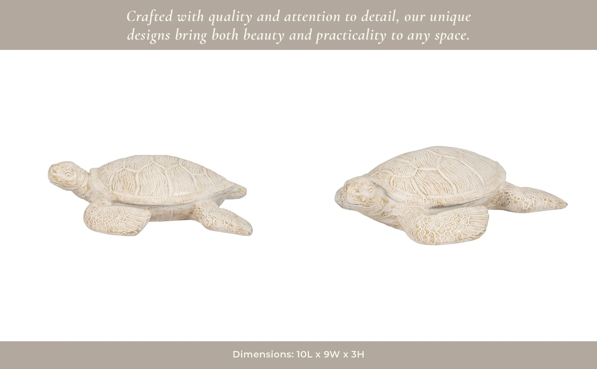 10" Sea Turtle, Ivory - Image 14