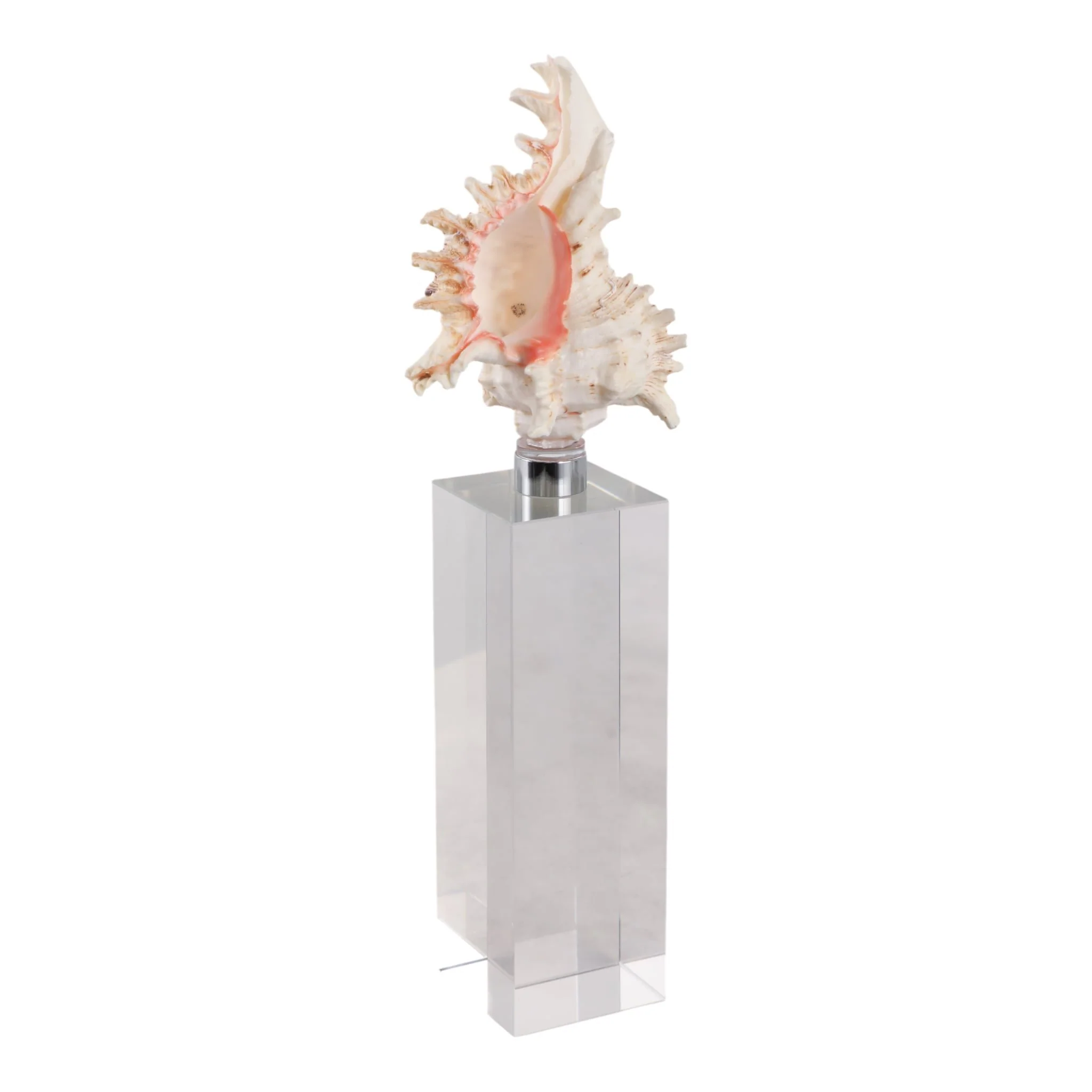 10x2" Shell On Crystal Base, Ivory/ Clear - Image 2