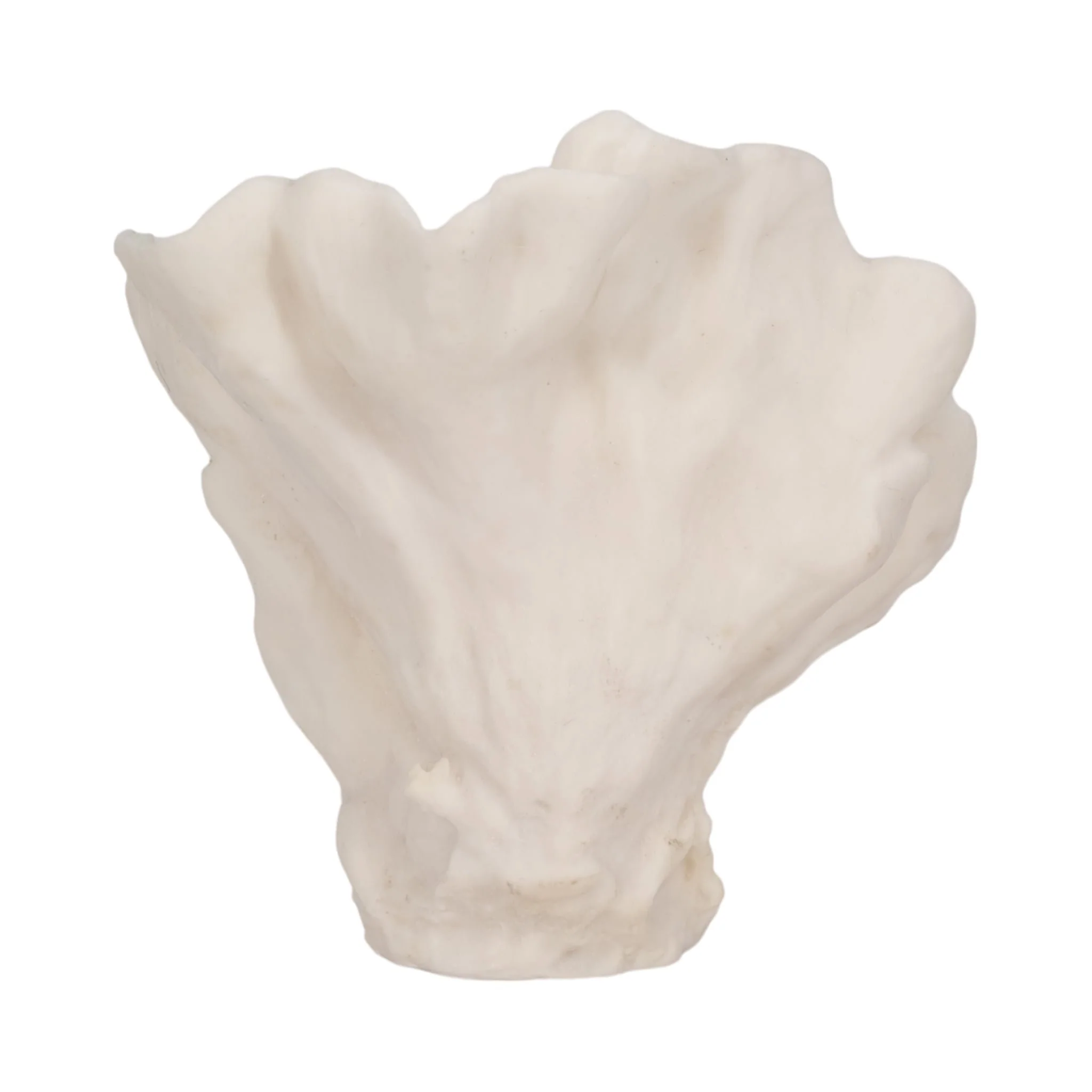 12" Coral Fan Decor, Ivory - Image 4