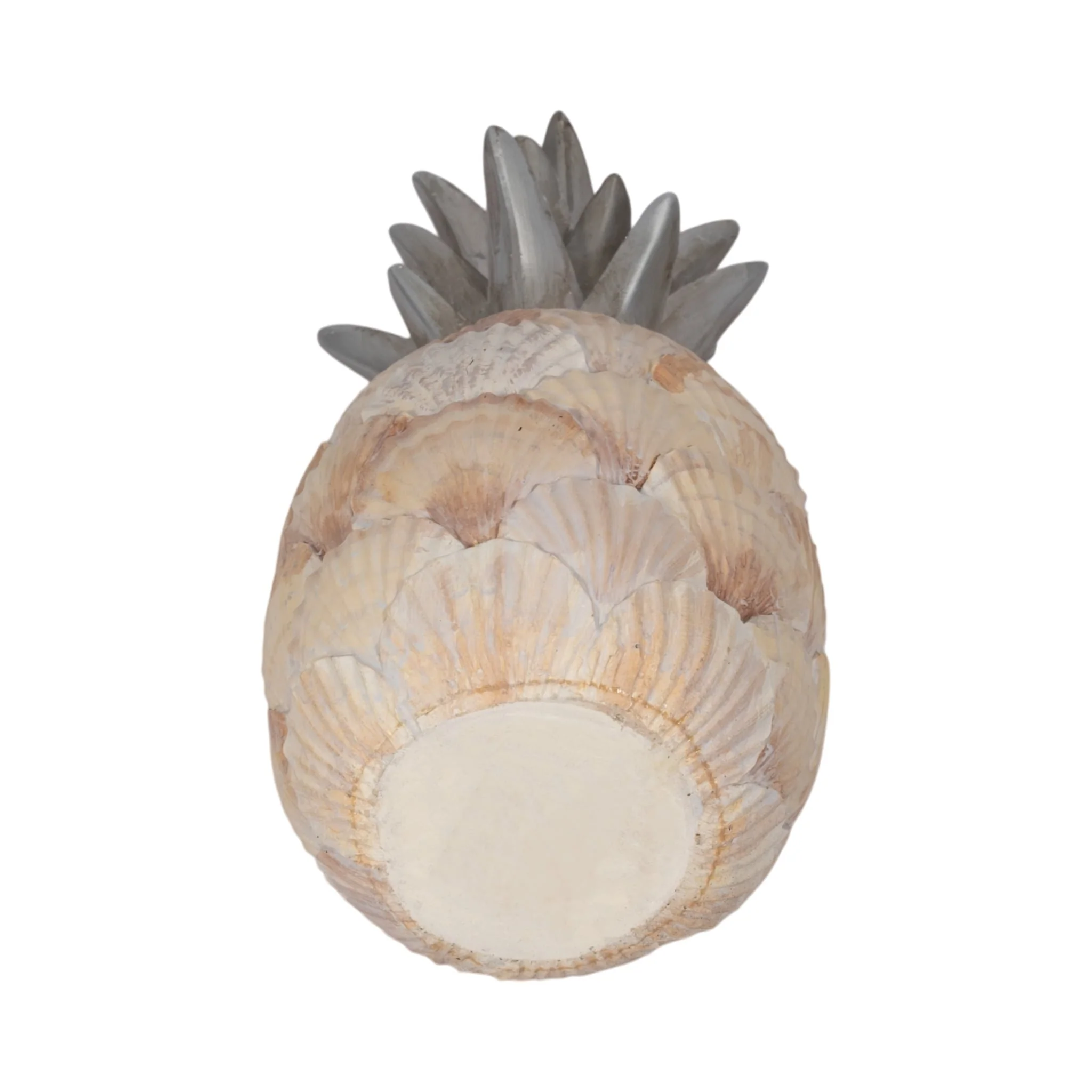 12" Seashell Pineapple, Multi - Image 6
