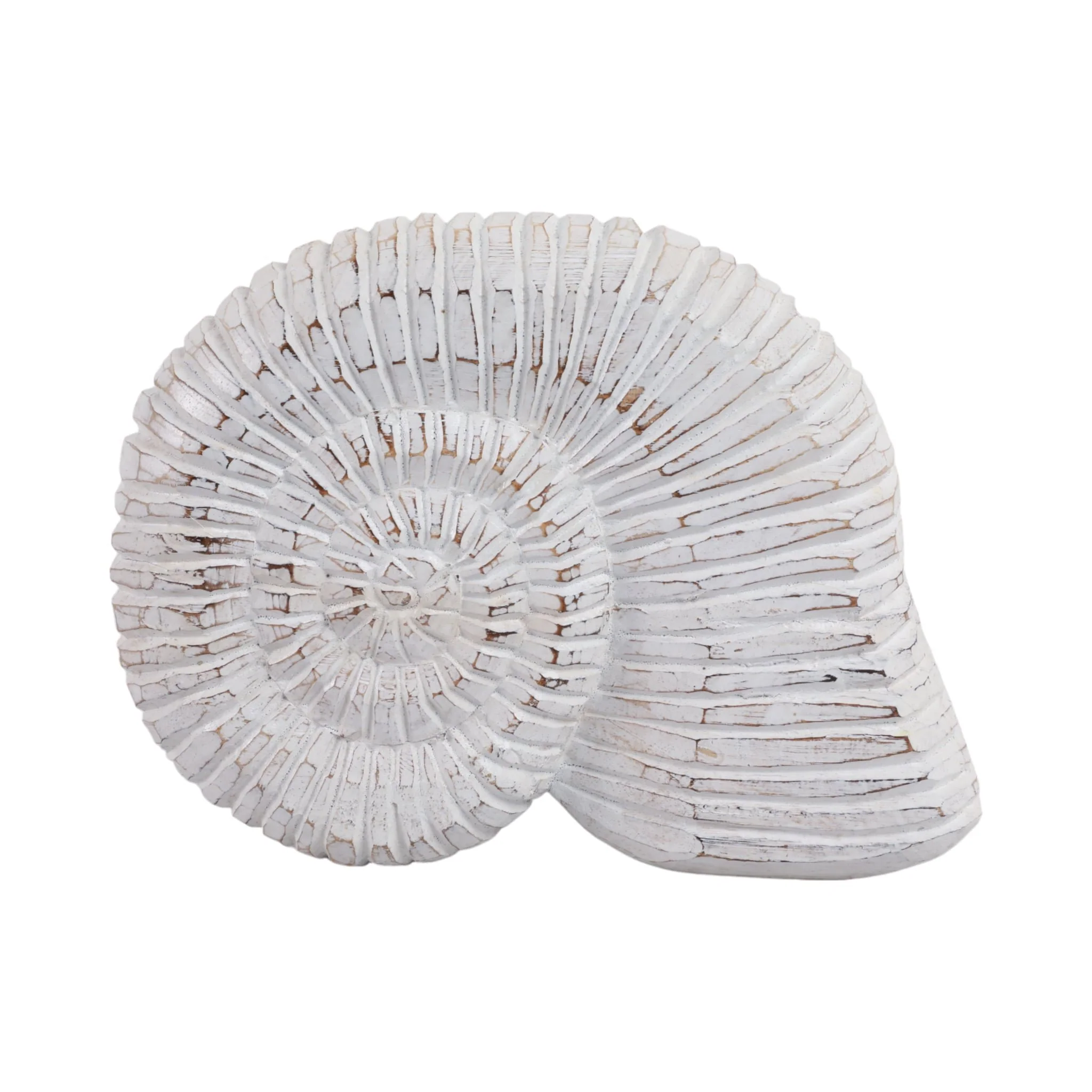 12" Wooden Snail Decor, Wht - Image 4