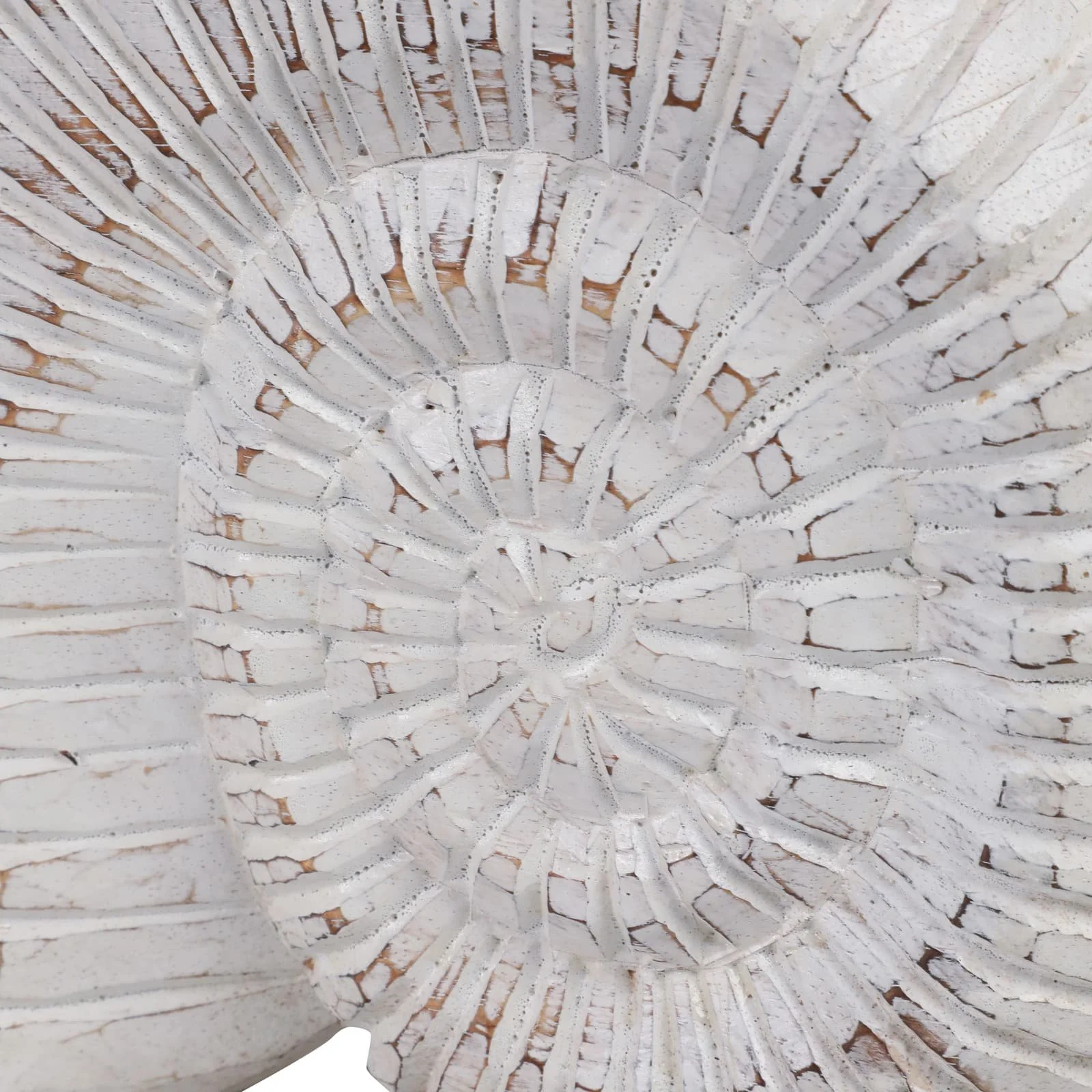 12" Wooden Snail Decor, Wht - Image 5
