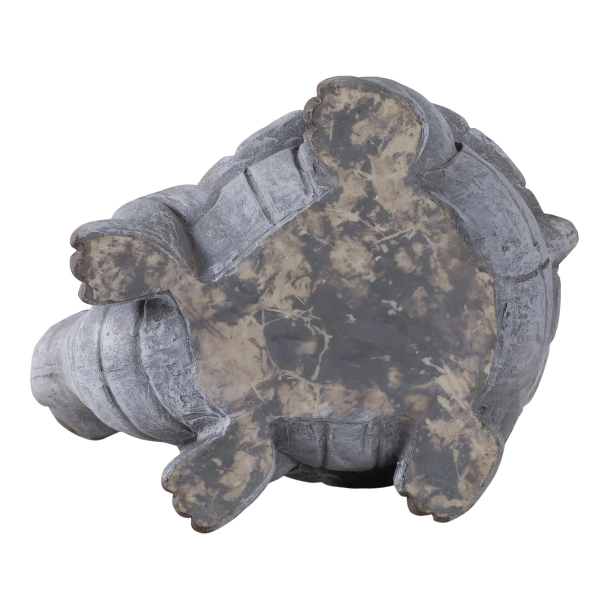 14x10" Turtle With Solar Flowers, Grey Multi - Image 8