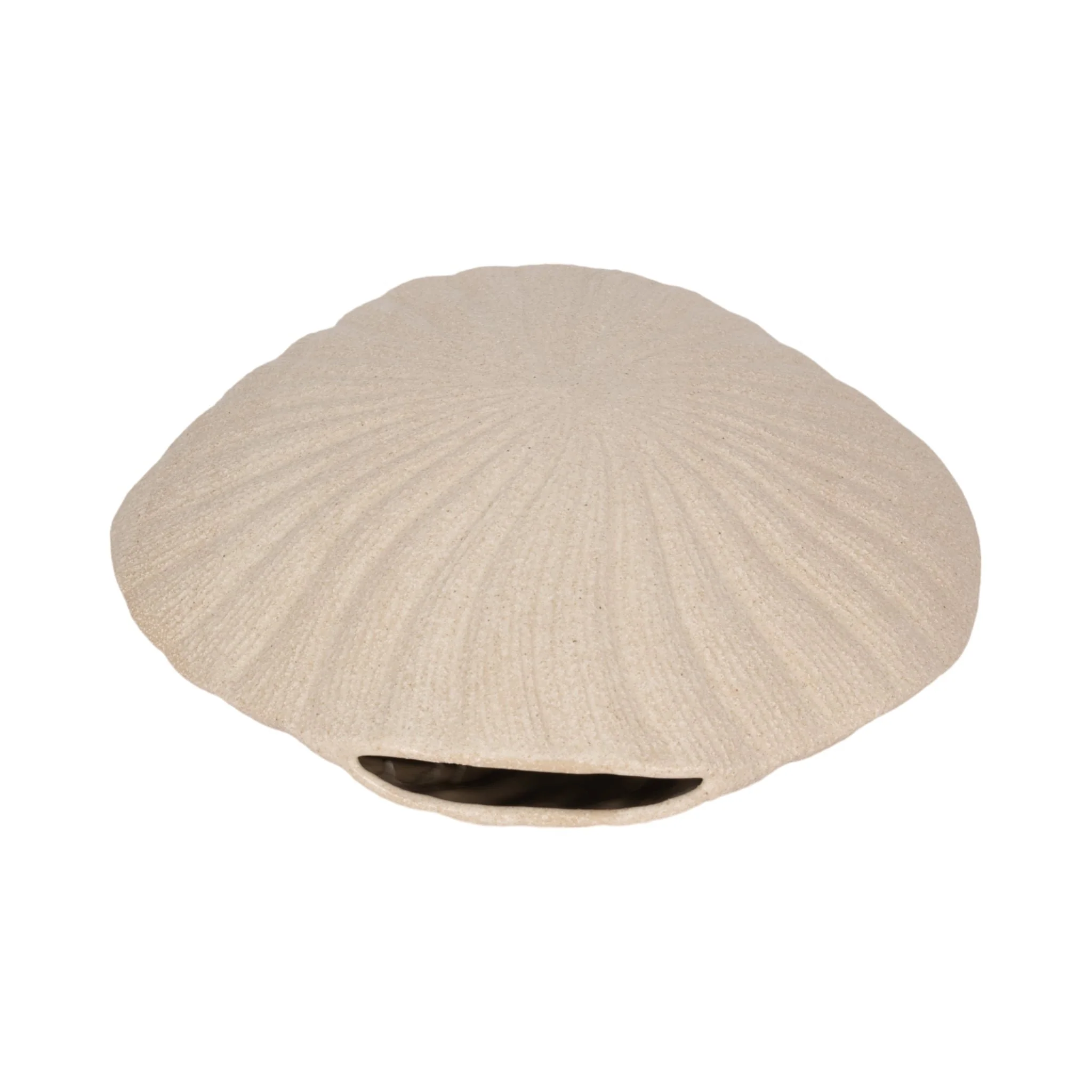 15" White Sand Shell Vase, White - Image 6