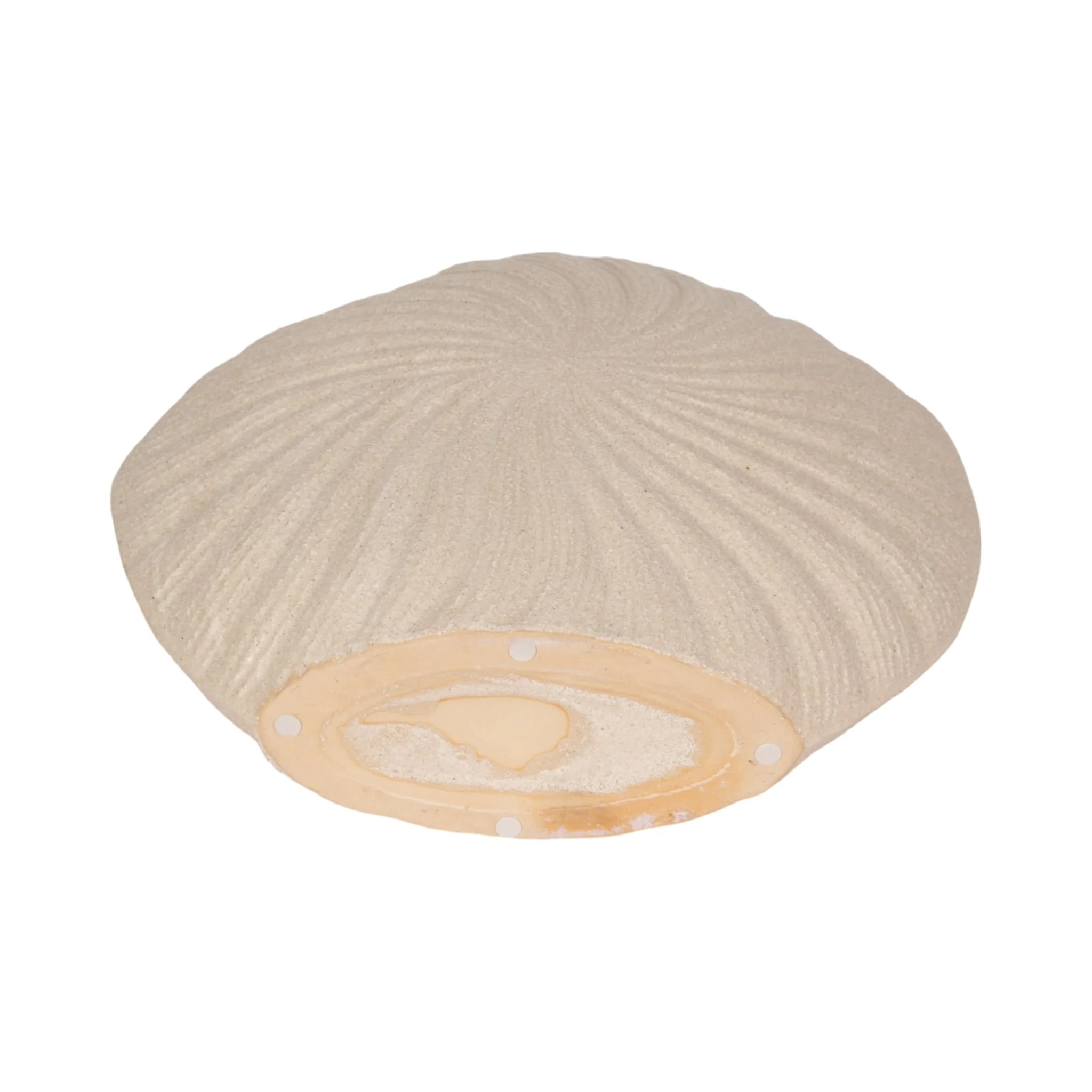 15" White Sand Shell Vase, White - Image 7