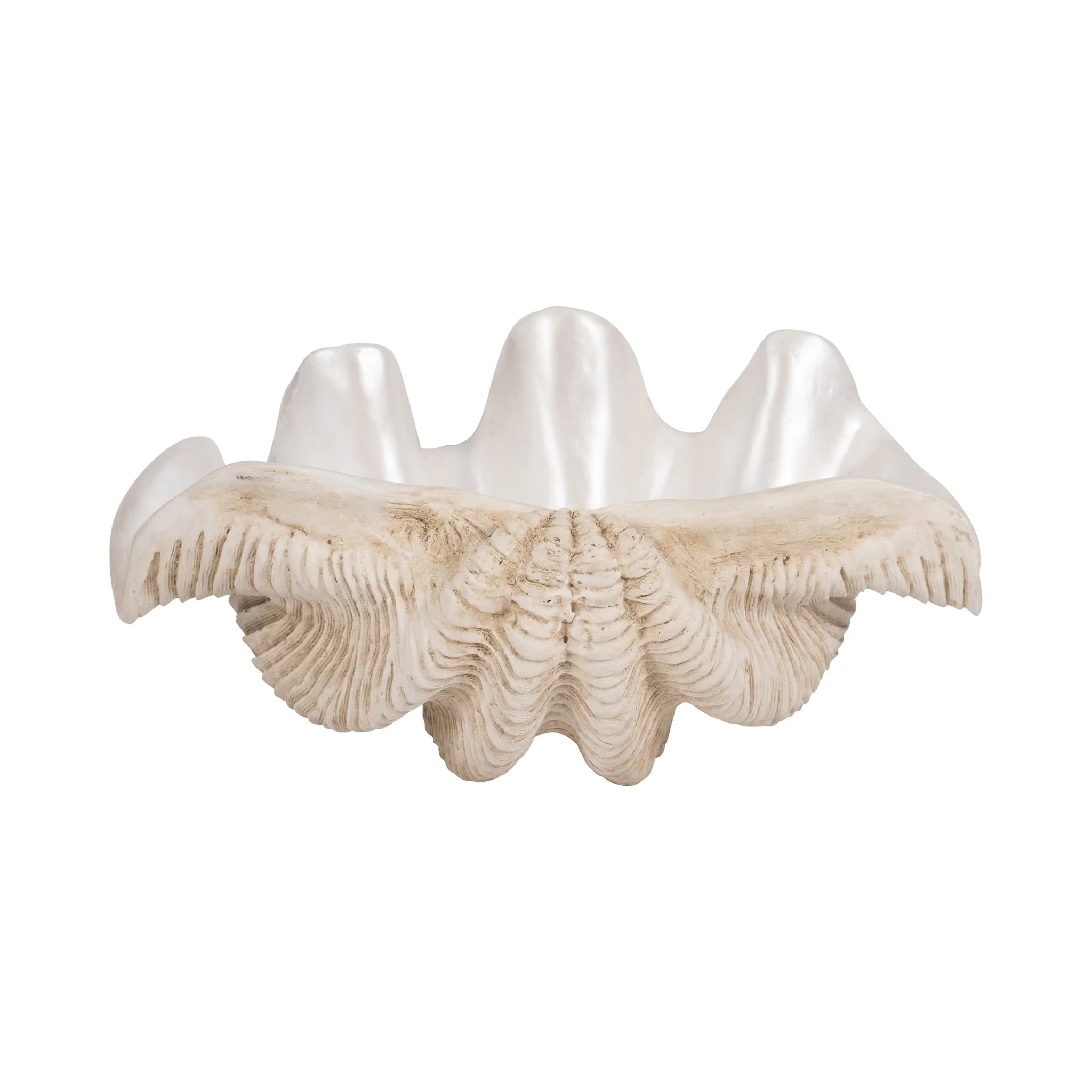 16" Pearlized Clam Shell Bowl, Ivory - Image 4