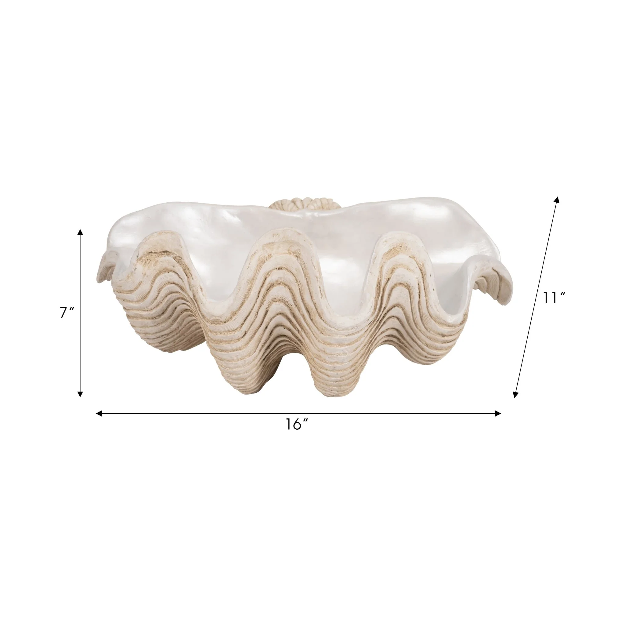 16" Pearlized Clam Shell Bowl, Ivory - Image 8