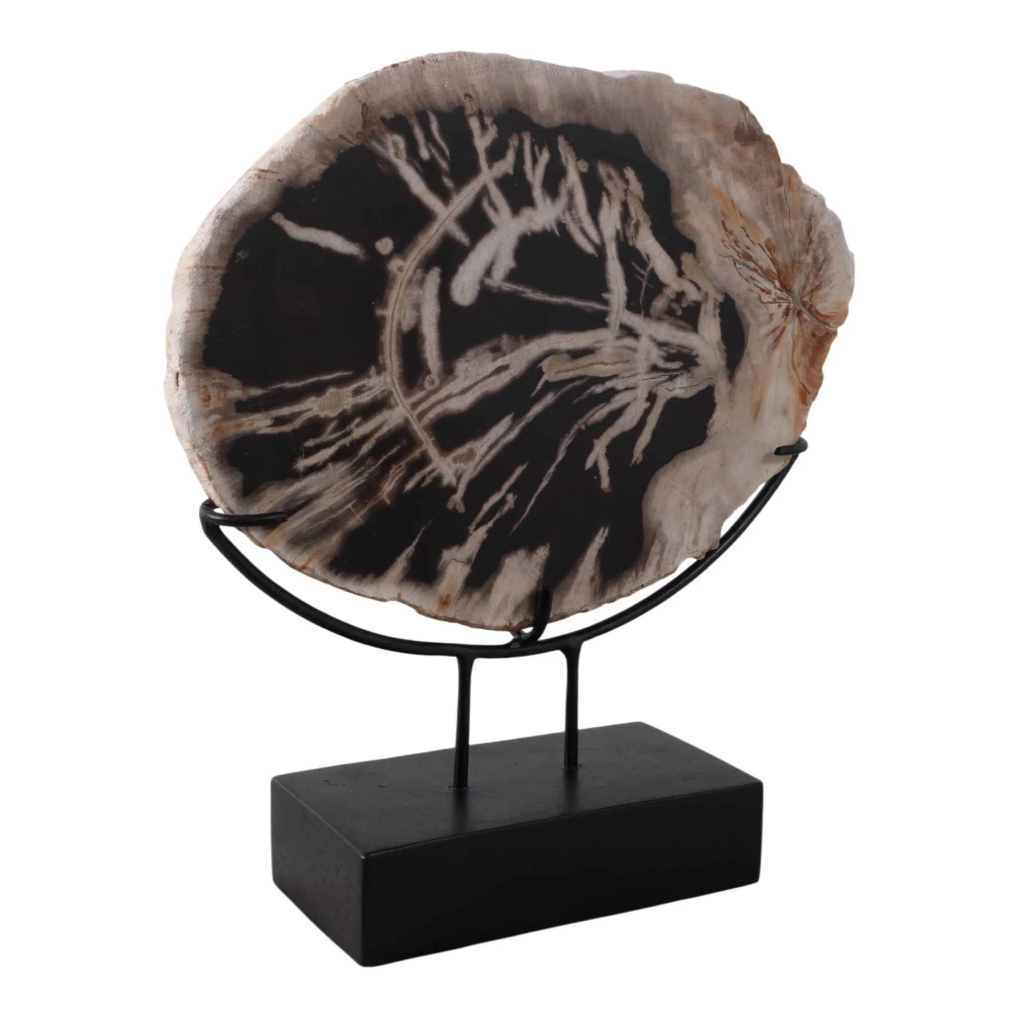 17x14" Petrified Wood Disc On Stand, Black/brown - Image 2