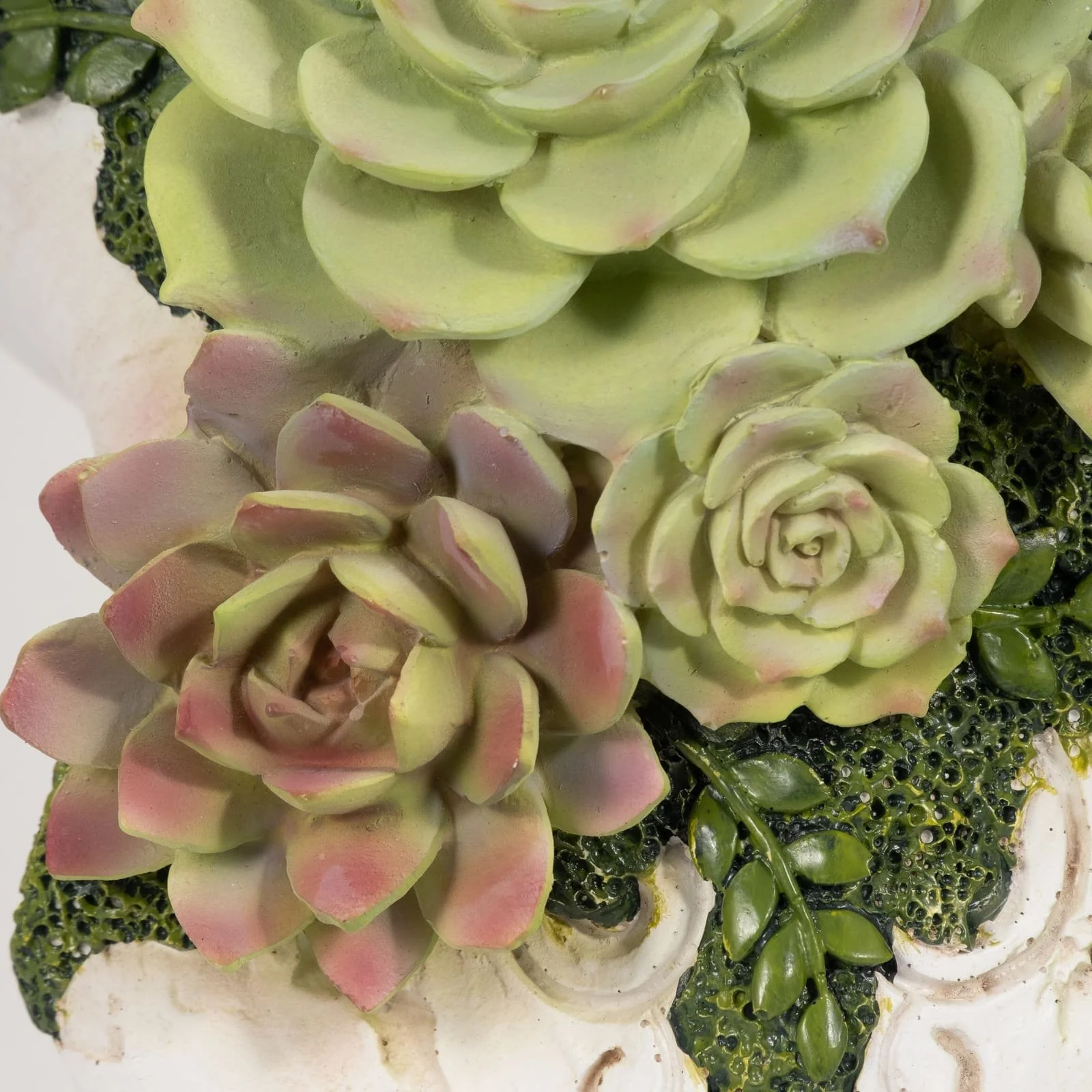 18" Bull Skull With Succulents, Multi - Image 4