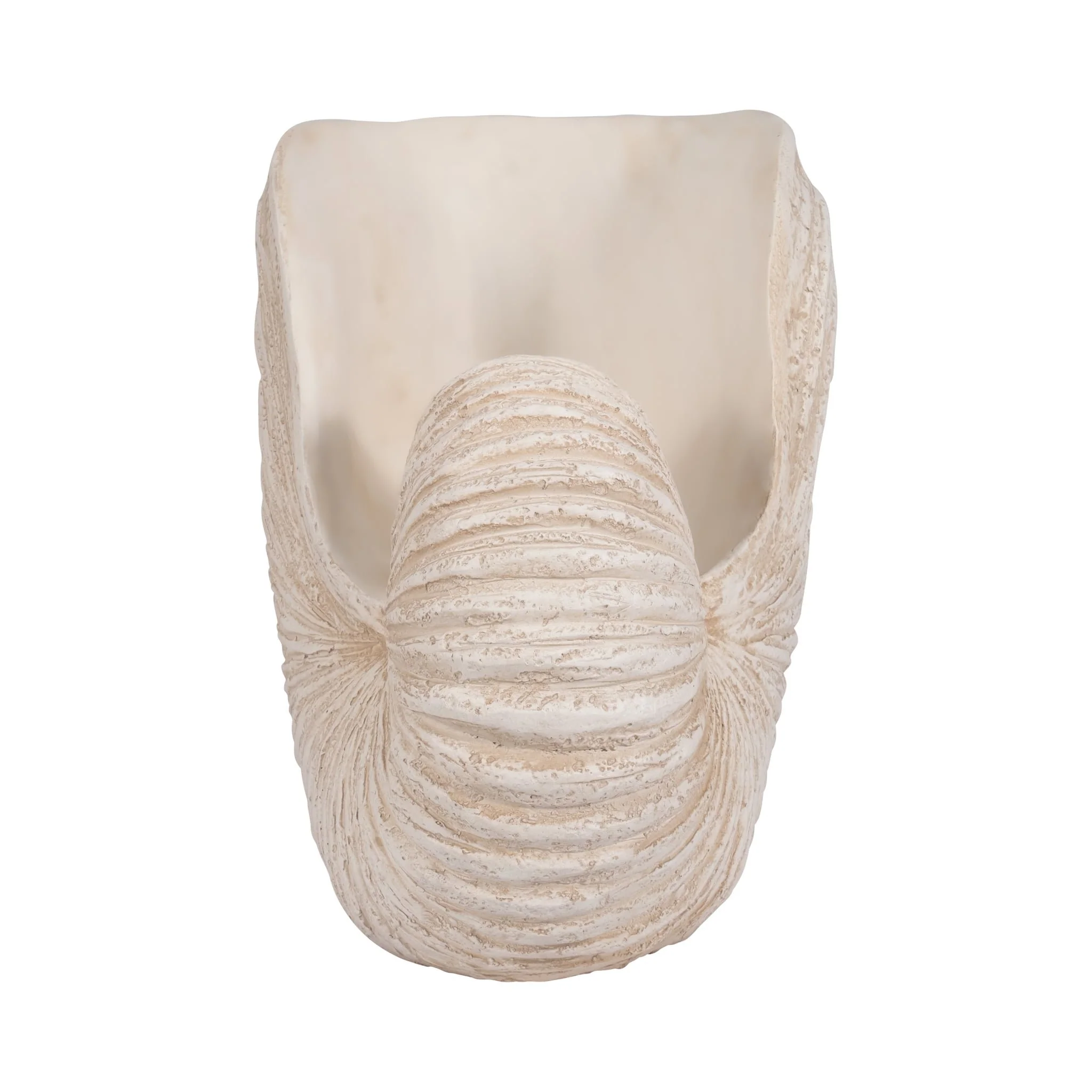 18" Shell Sculpture, Ivory - Image 4