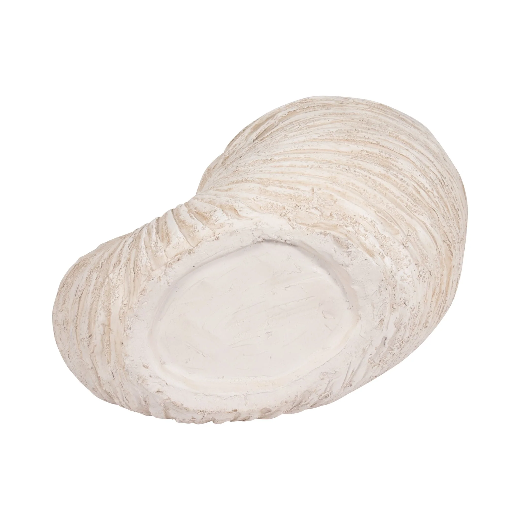 18" Shell Sculpture, Ivory - Image 8