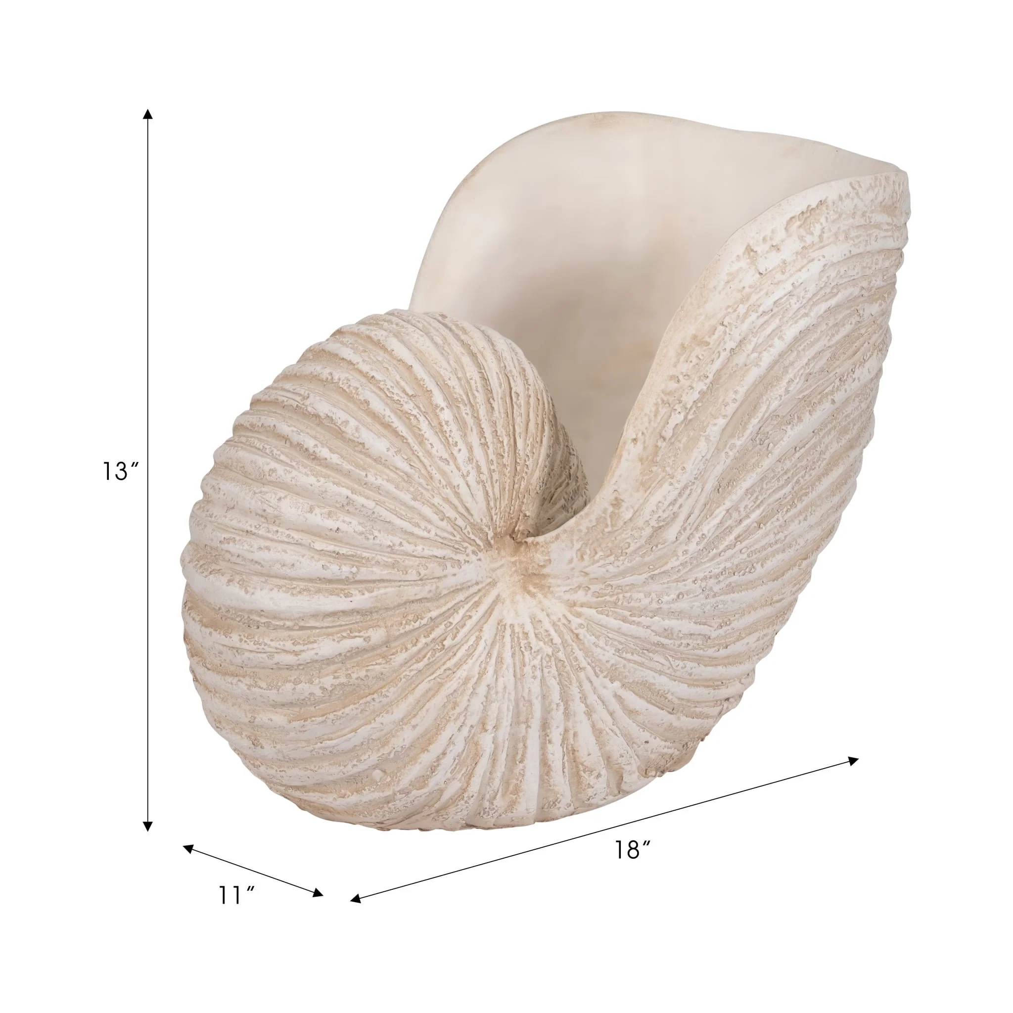 18" Shell Sculpture, Ivory - Image 9