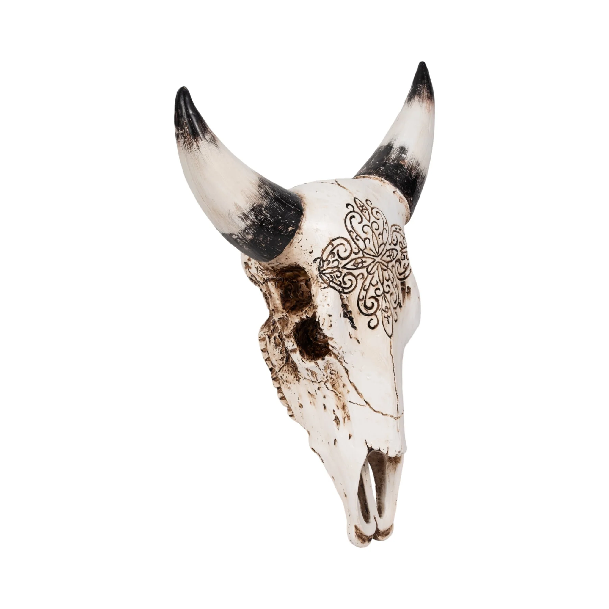 19" Western Bull Skull, Brown - Image 2
