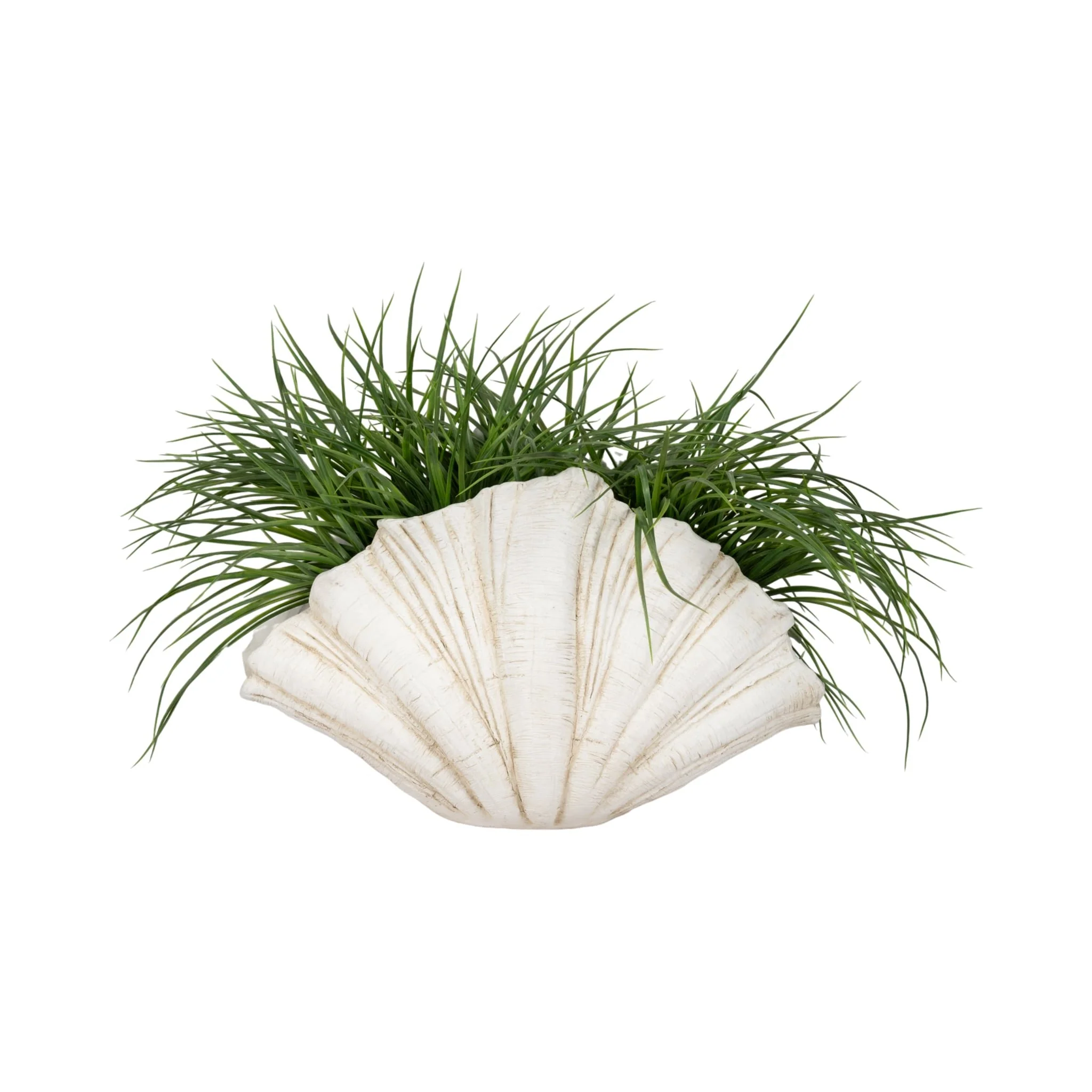 22" Scallop Shell Decor, White - Image 2