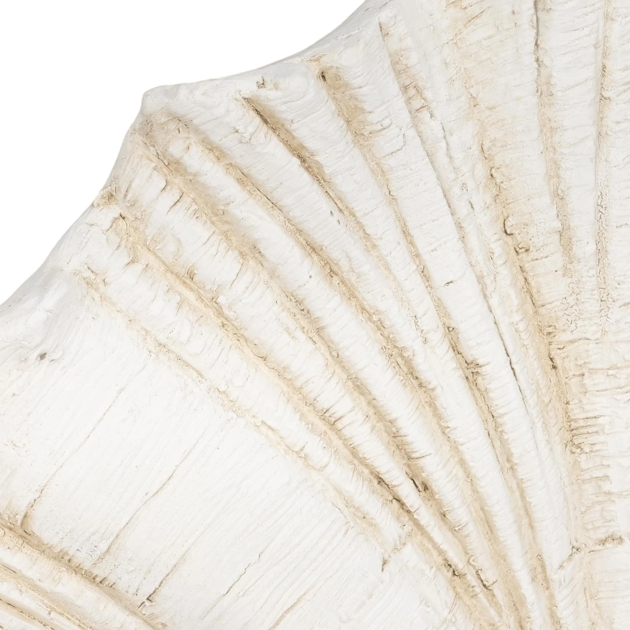 22" Scallop Shell Decor, White - Image 5