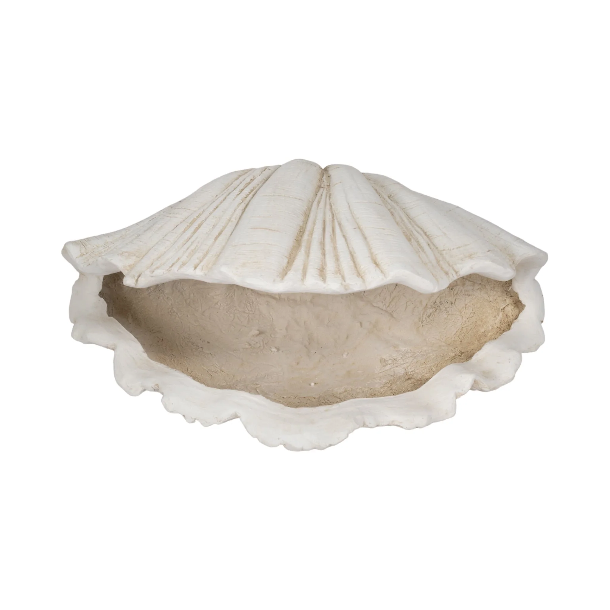 22" Scallop Shell Decor, White - Image 6
