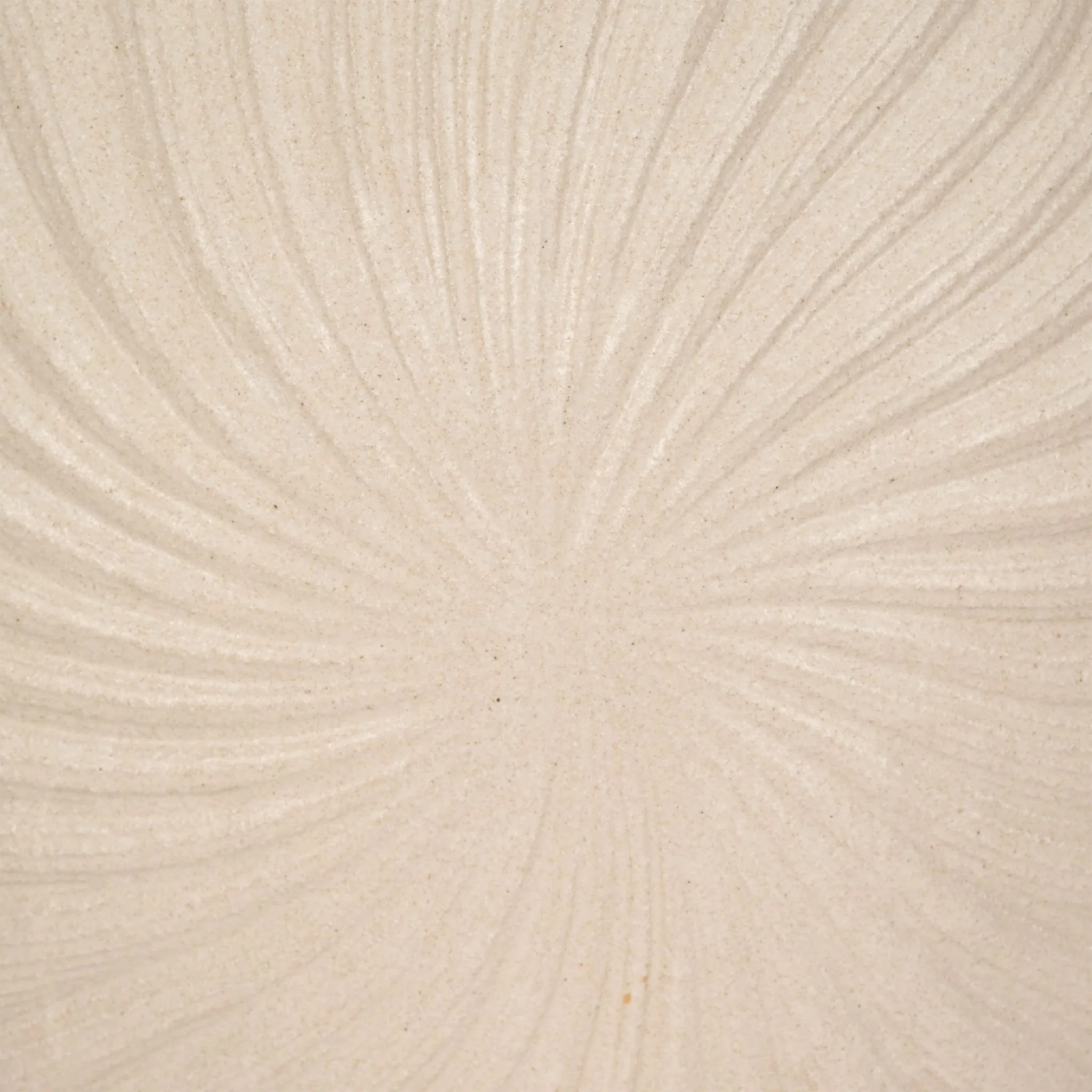 23" White Sand Shell Vase, White - Image 5