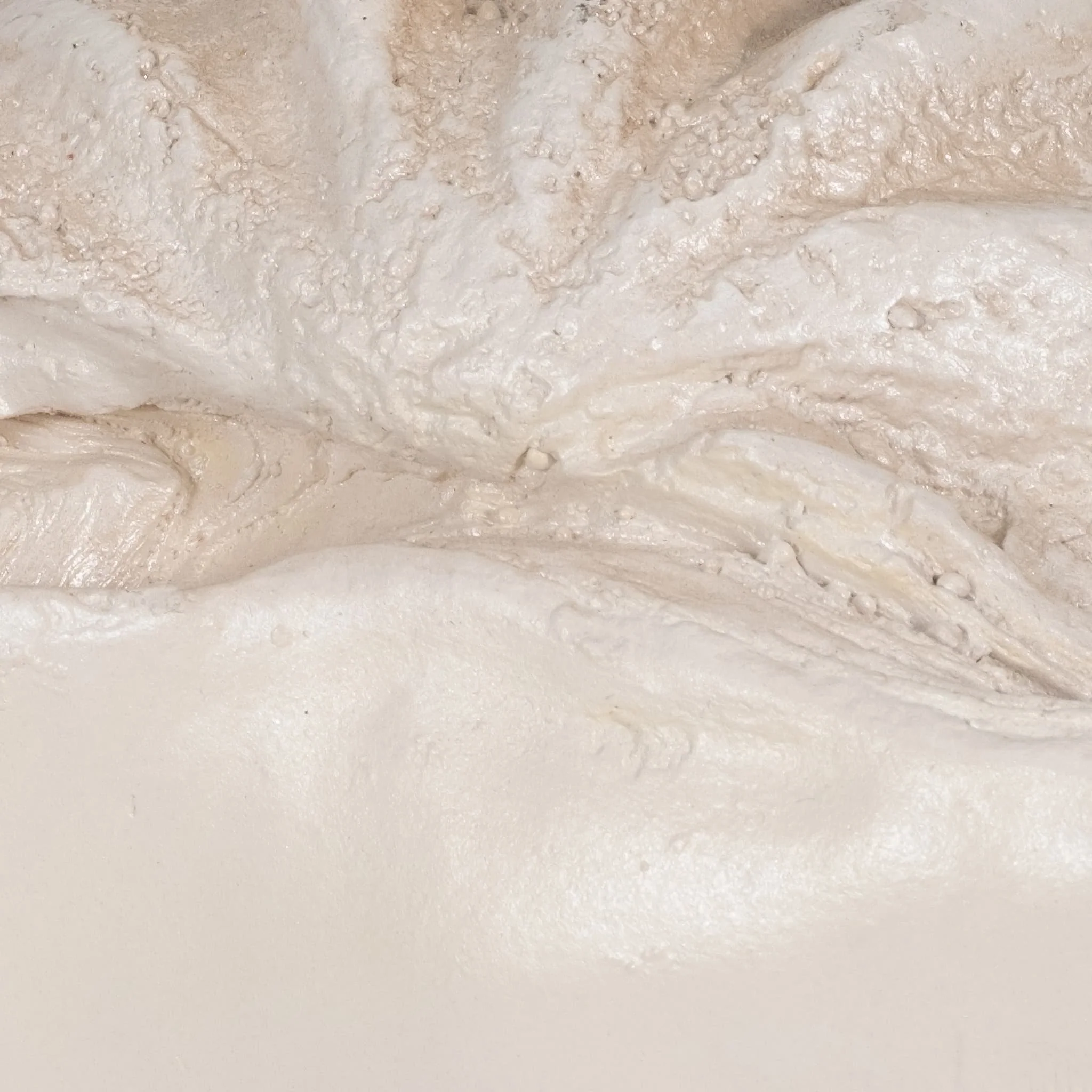 25" Pearlized Clam Shell Bowl, Ivory - Image 5