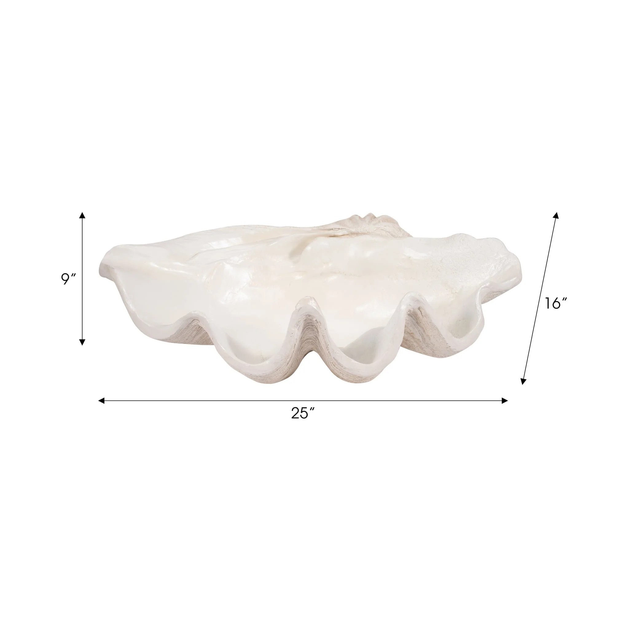 25" Pearlized Clam Shell Bowl, Ivory - Image 8