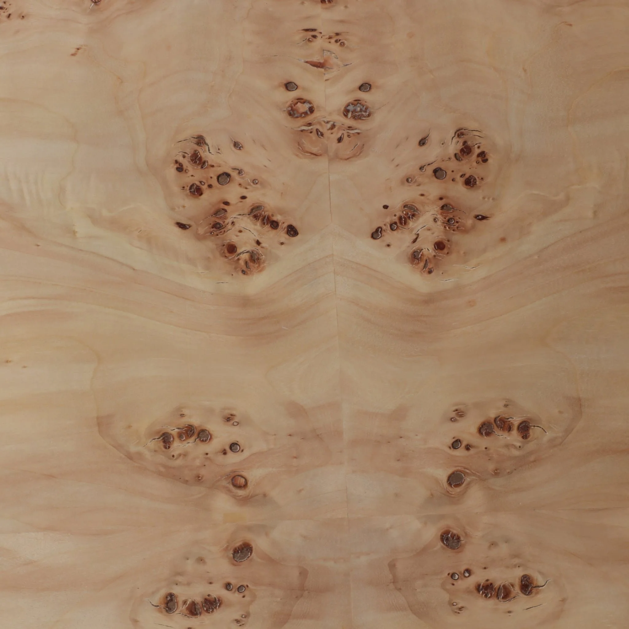 47x24 Rectangular Burl Wood Coffee Table, Tan - Image 6
