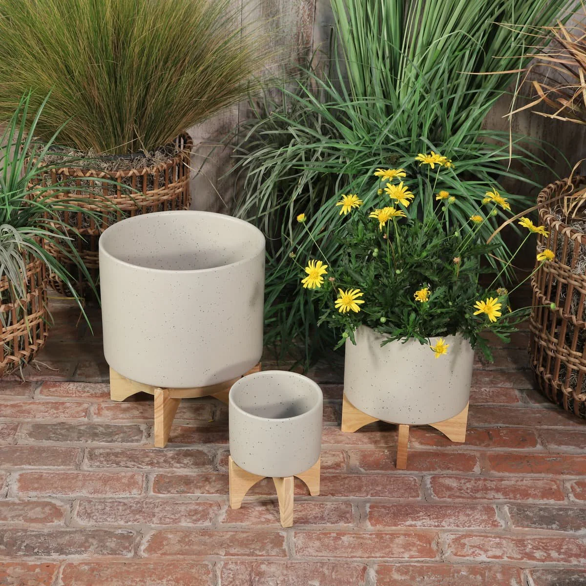 5" Planter W/ Wood Stand, Matte Beige - Image 10