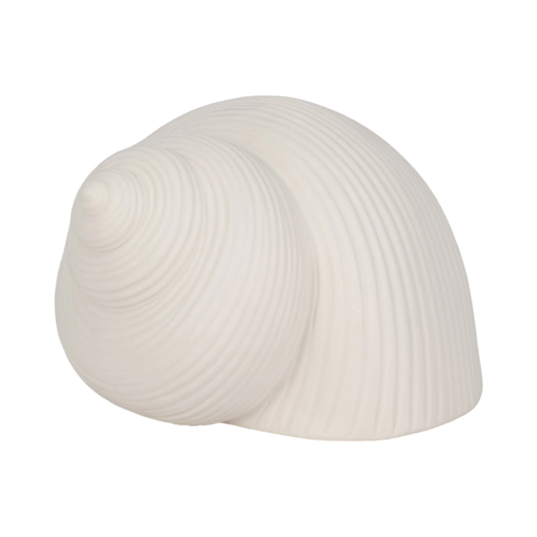 6" Bonnet Seashell, White - Image 2