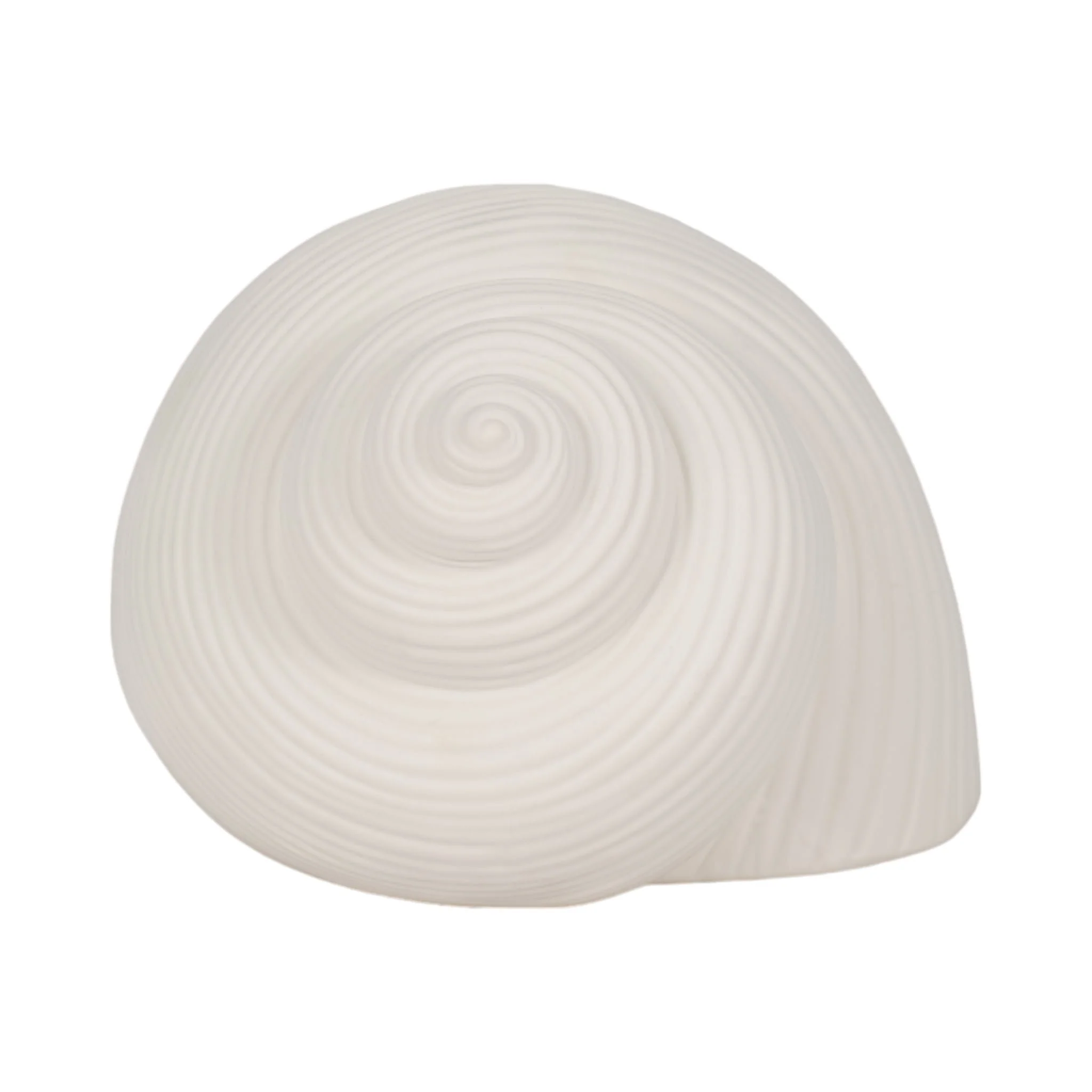 6" Bonnet Seashell, White - Image 3