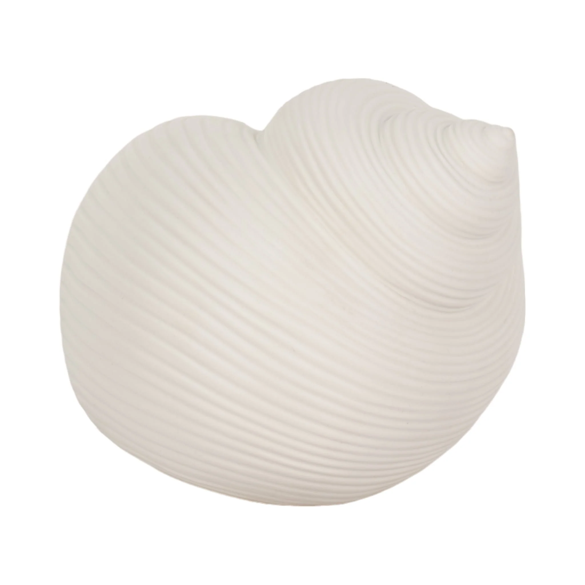 6" Bonnet Seashell, White - Image 6