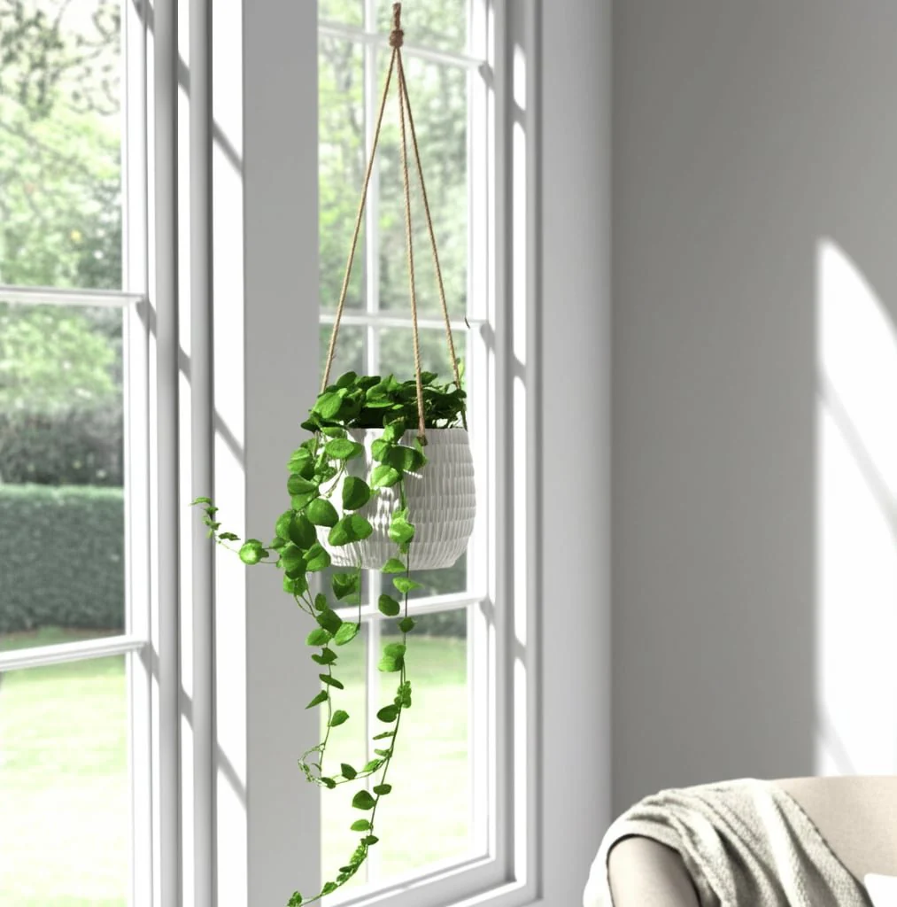 6" Dimpled Hanging Planter, White - Image 13
