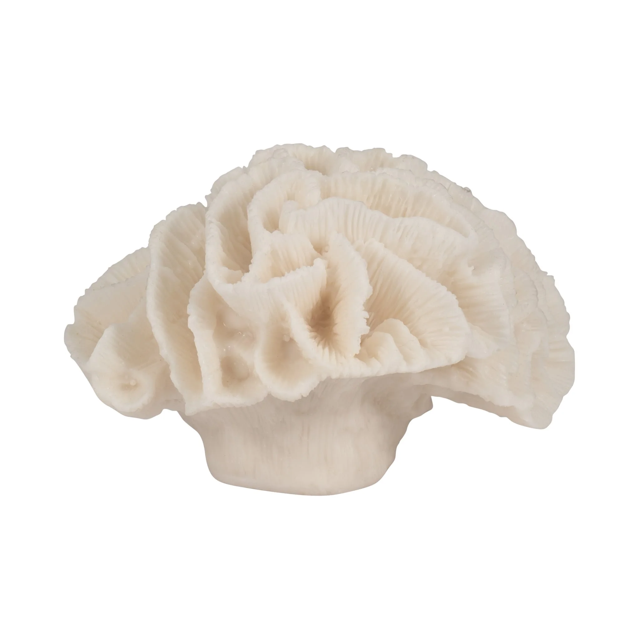 6" Petal Coral, Ivory - Image 2