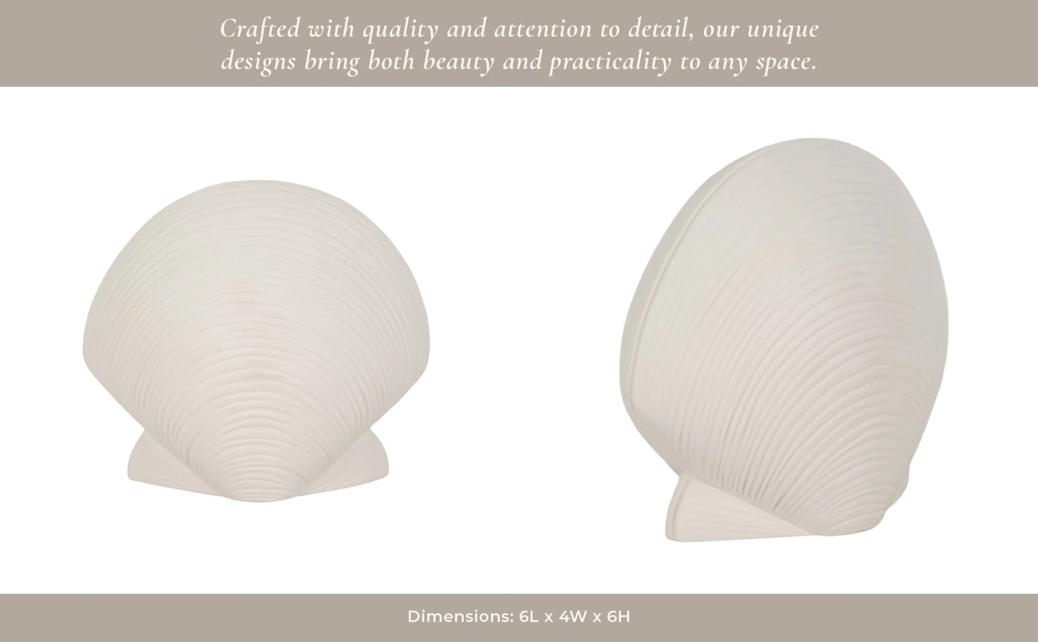 6" Seashell Decor, White - Image 11