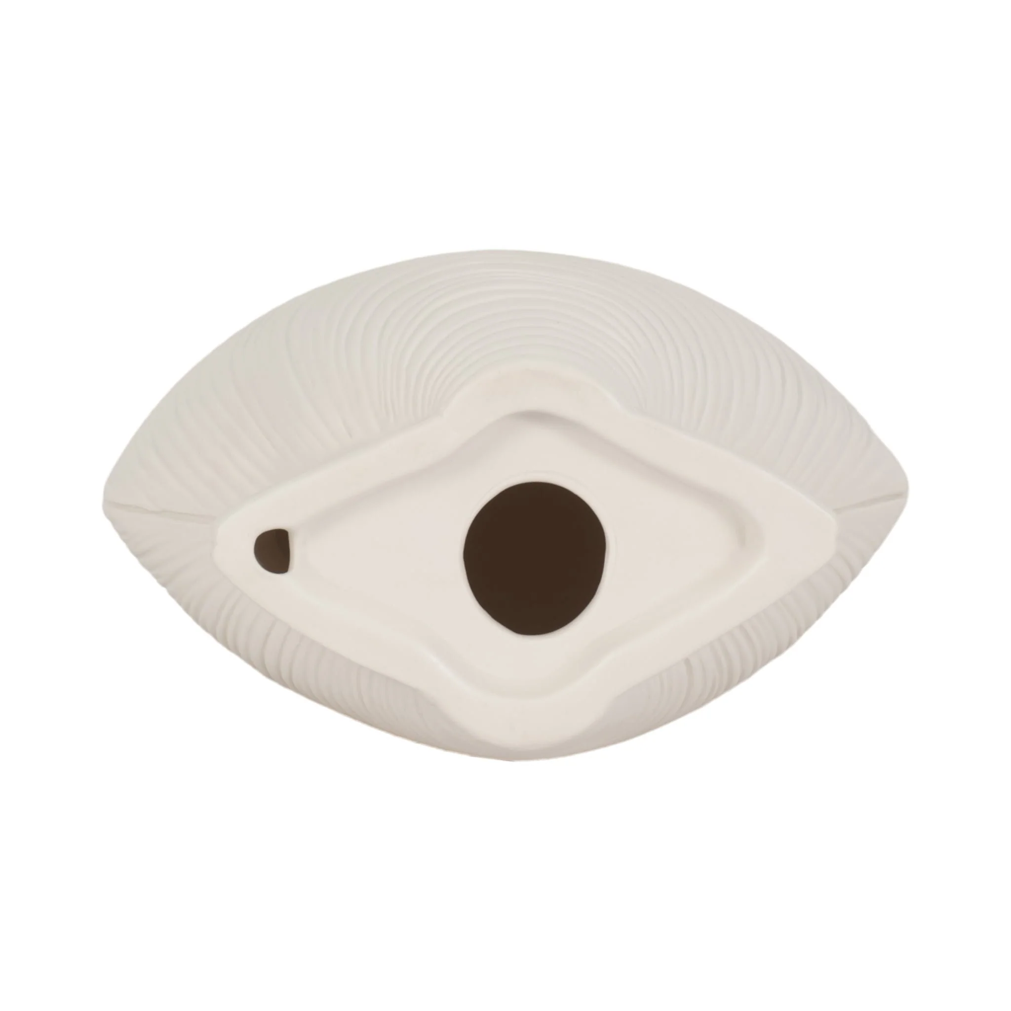 6" Seashell Decor, White - Image 6