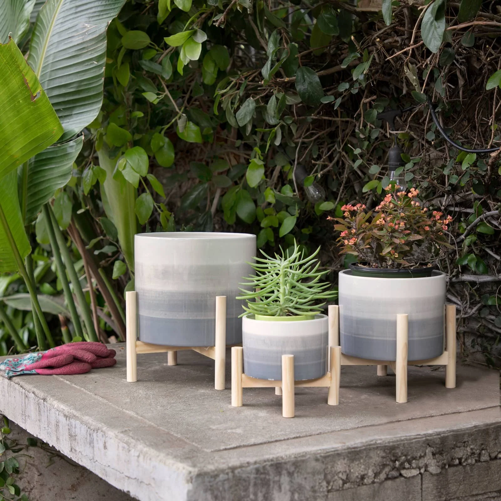 8" Ceramic Planter W/ Wood Stand, Beige Mix - Image 11