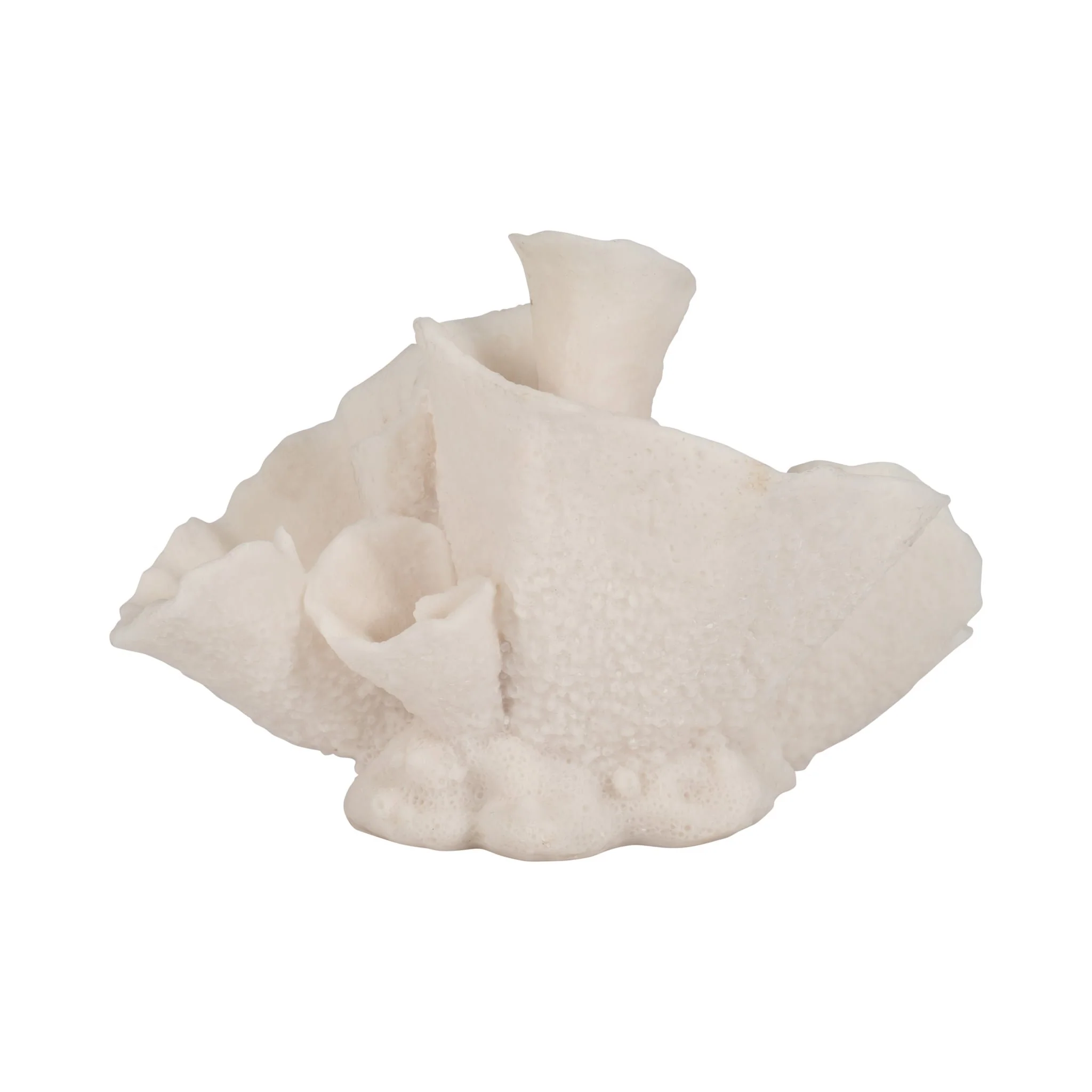 8" Coral Object, Ivory - Image 4