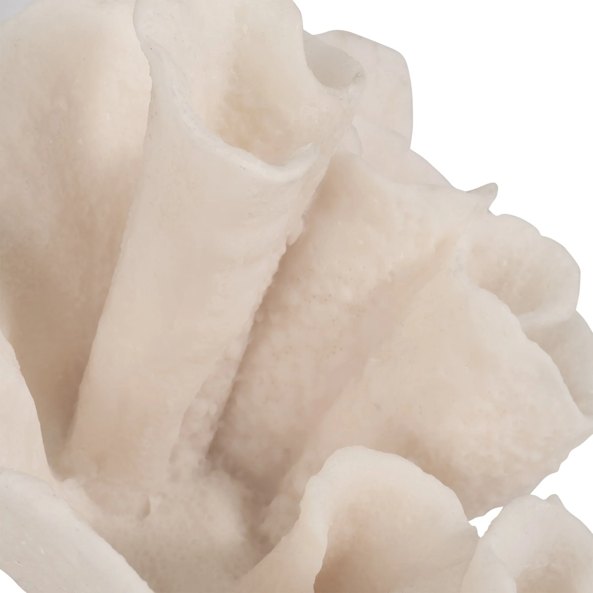 8" Coral Object, Ivory - Image 5