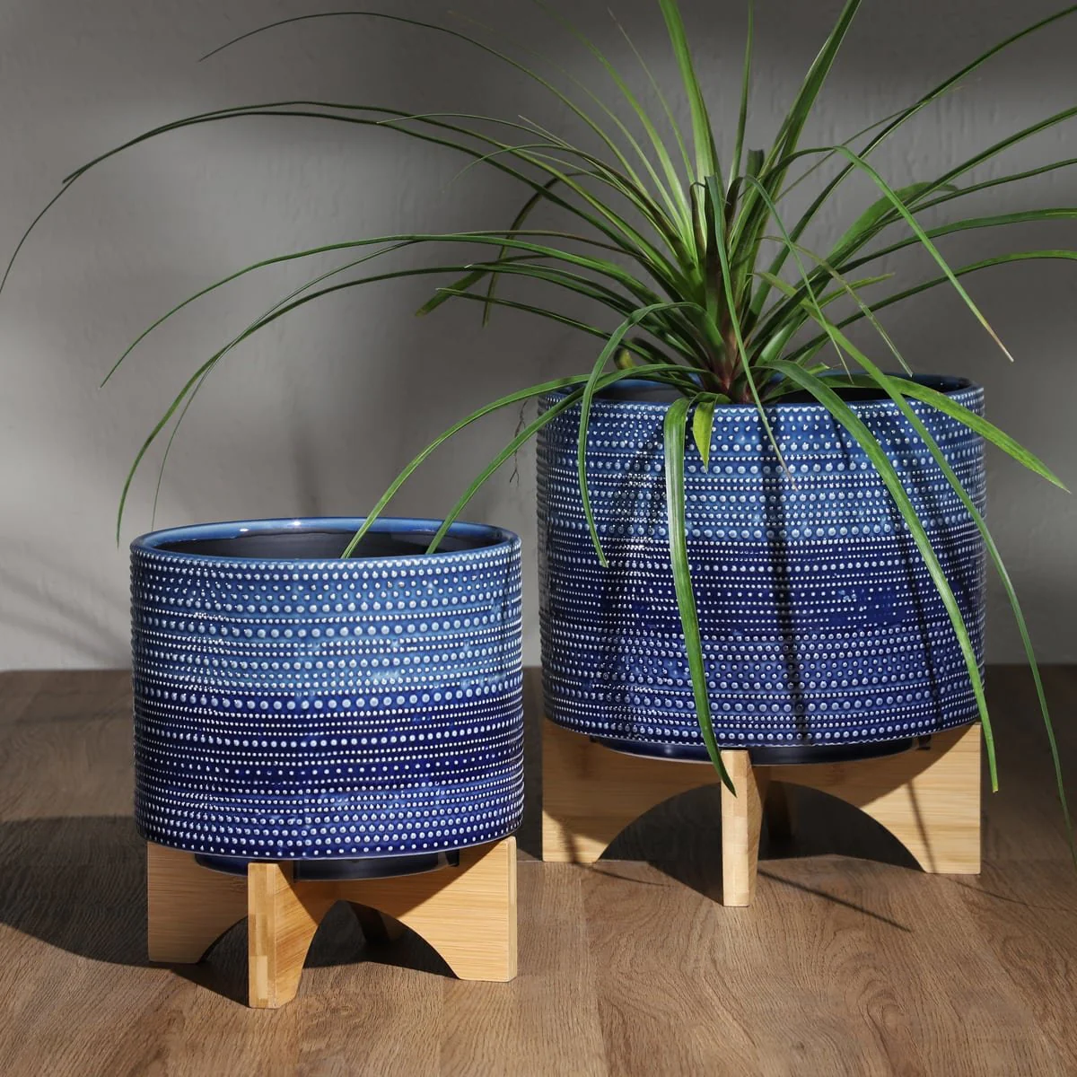 8" Dotted Planter W/ Wood Stand, Blue - Image 13