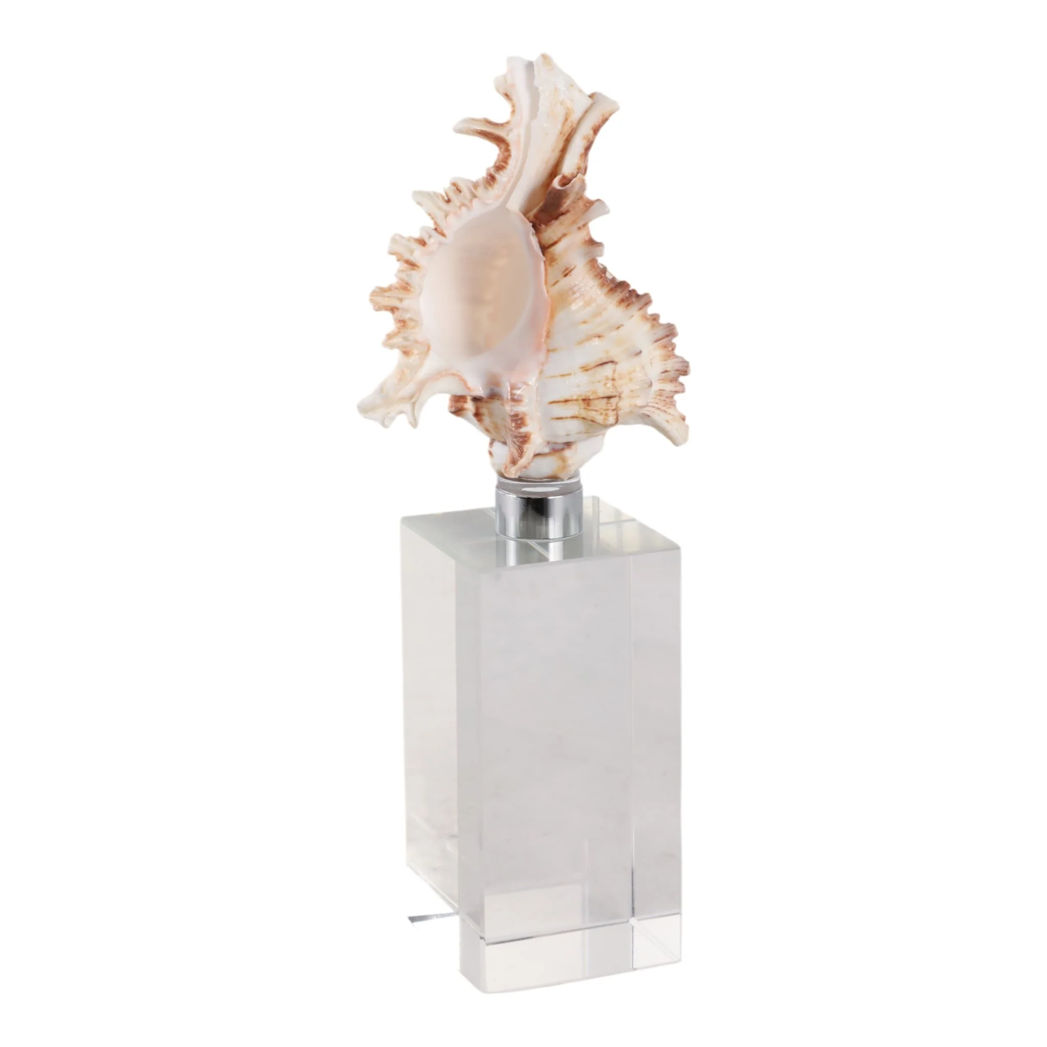8x2" Shell On Crystal Base, Ivory/ Clear - Image 2