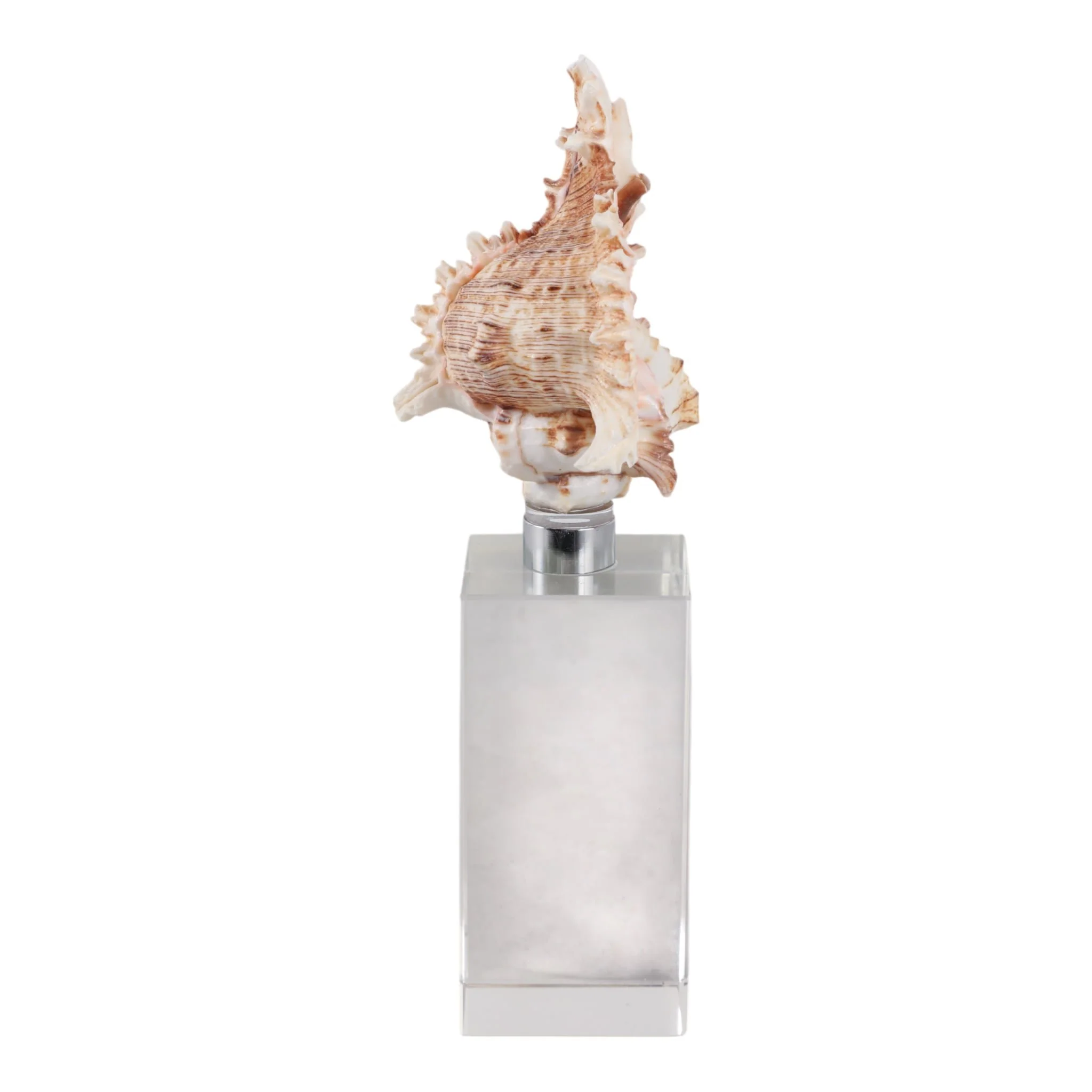 8x2" Shell On Crystal Base, Ivory/ Clear - Image 3
