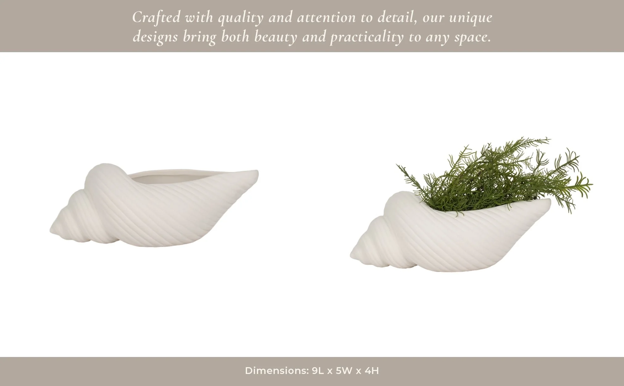 9" Conch Shell Planter, White - Image 12
