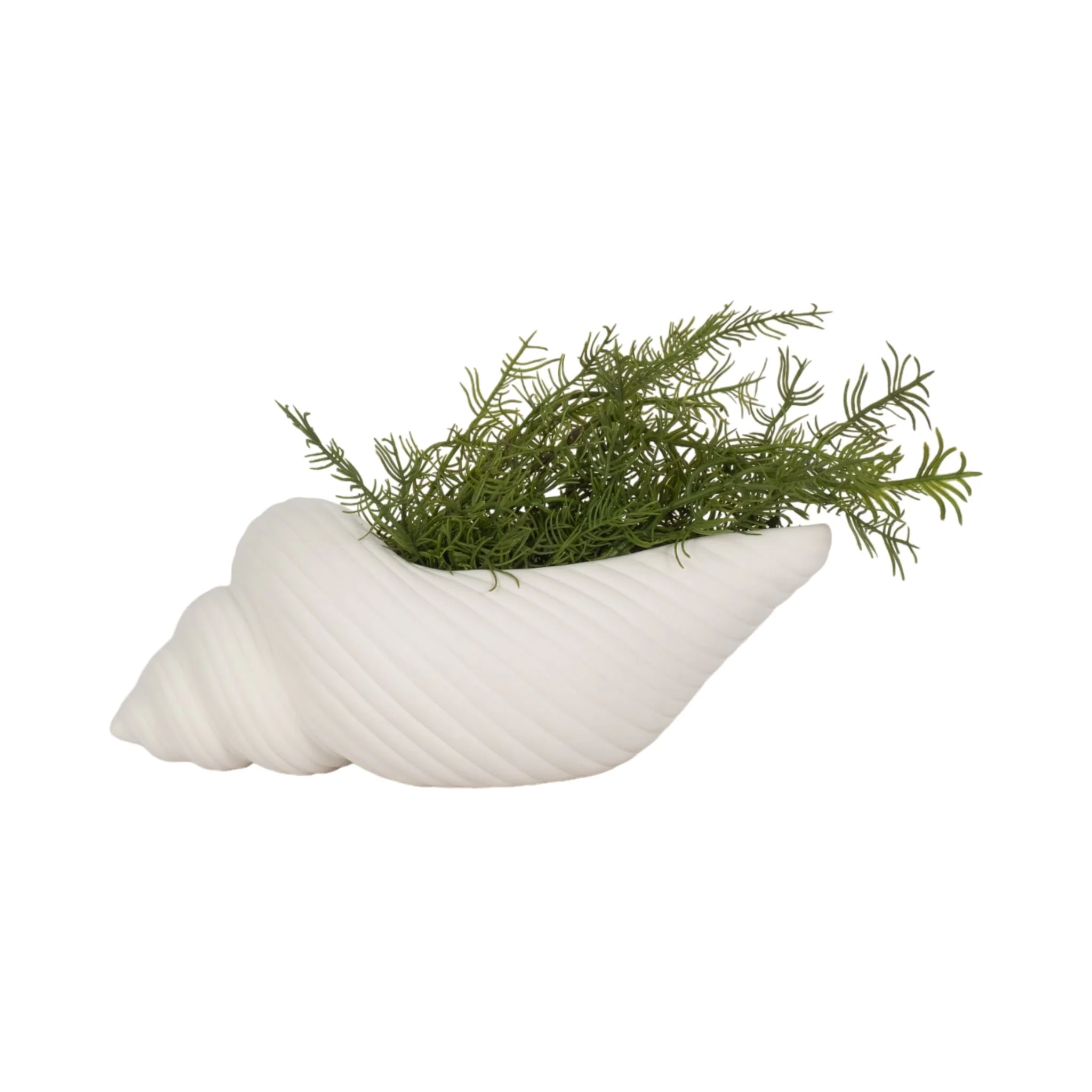 9" Conch Shell Planter, White - Image 2