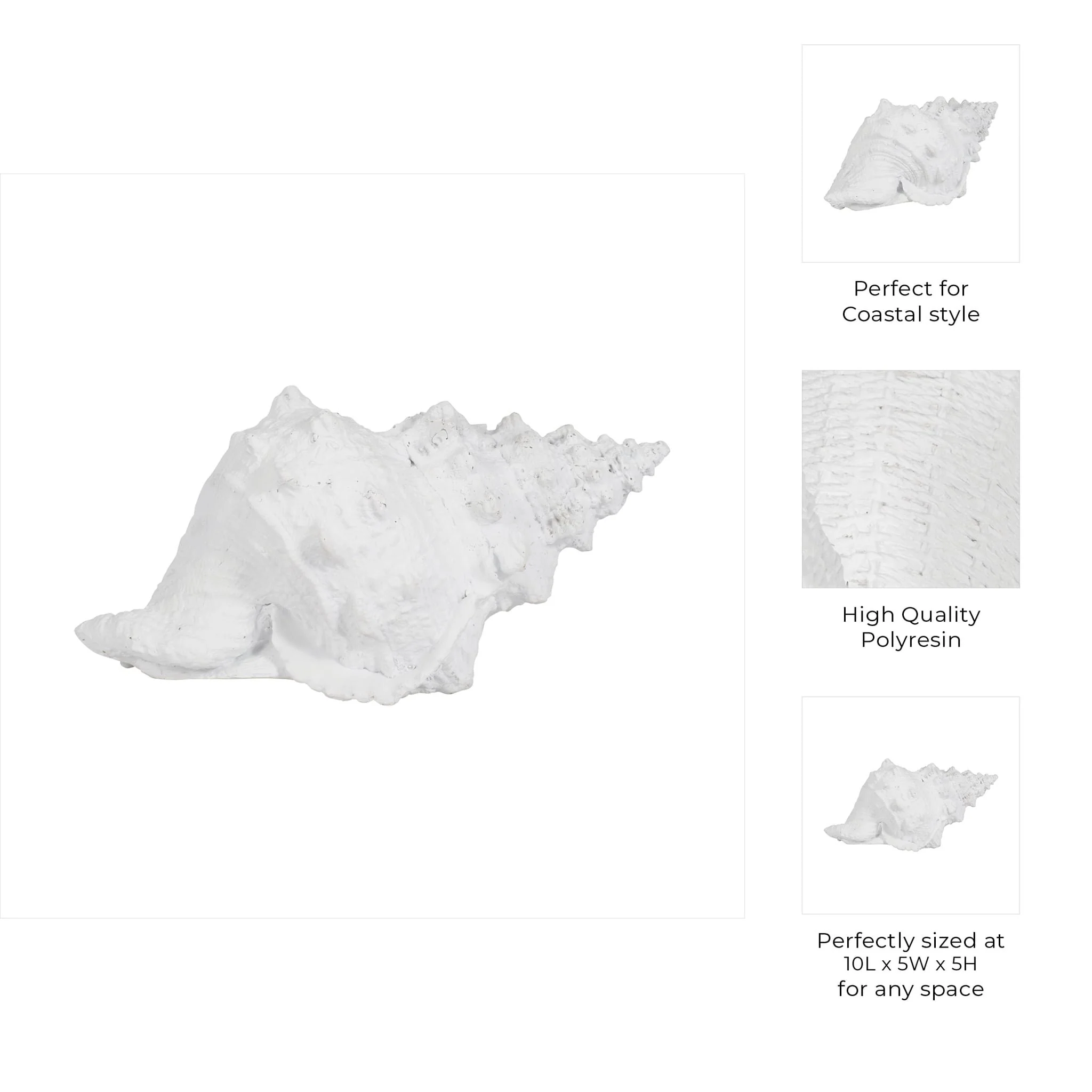 9" Conch Shell, White - Image 10