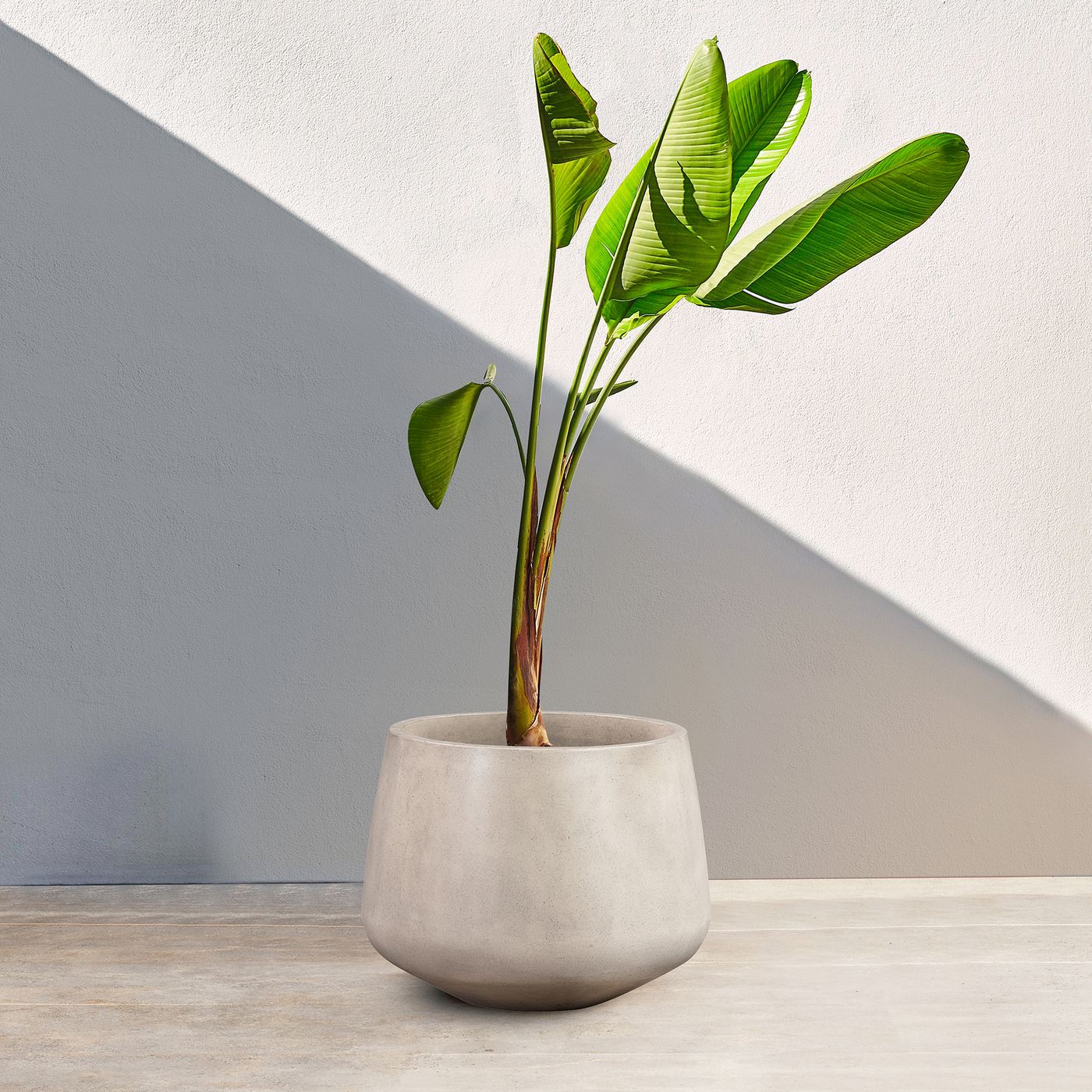 Amethyst Large Round Lightweight White Concrete Indoor or Outdoor Planter in white - Image 7