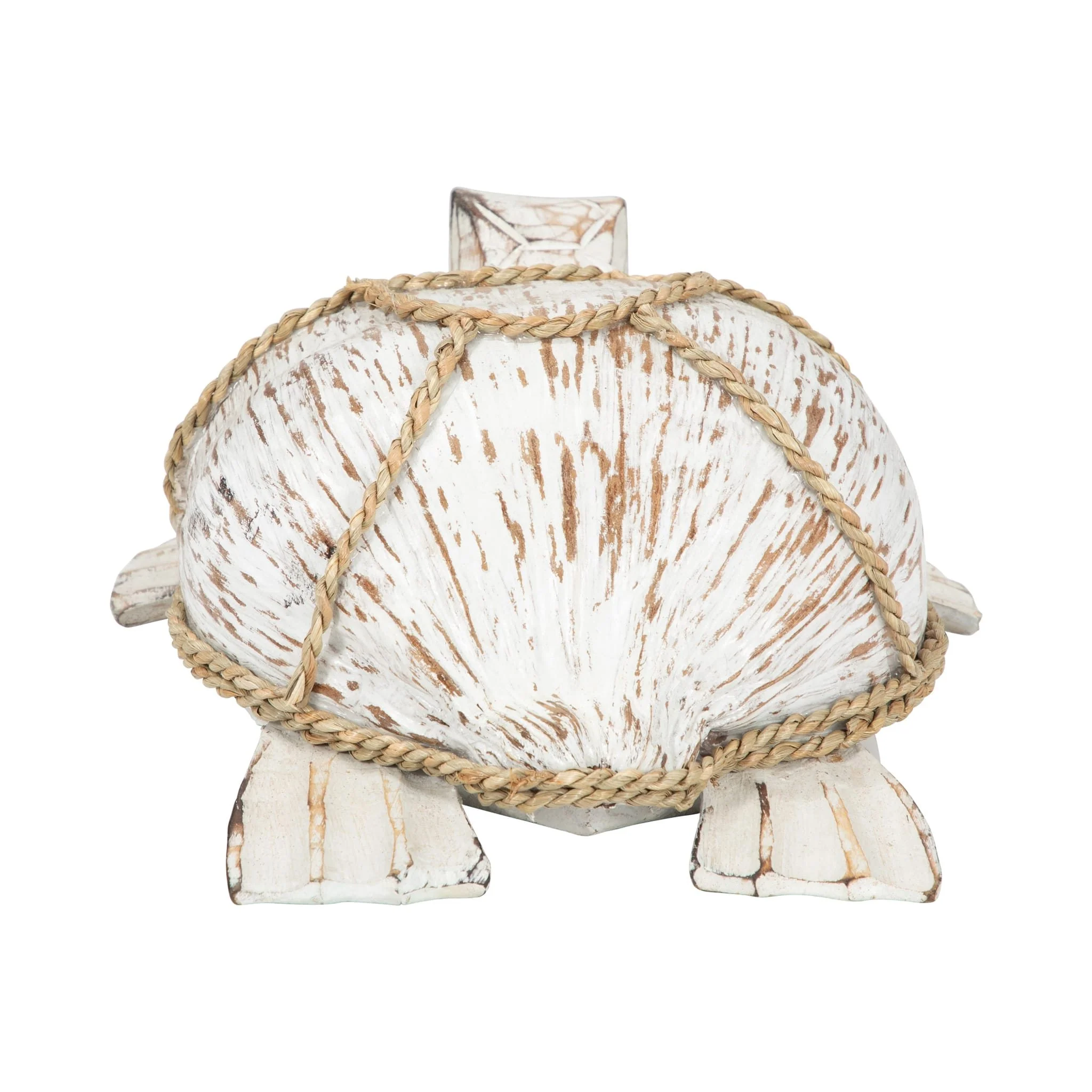 Coconut, 12"l Turtle, White/brown - Image 4
