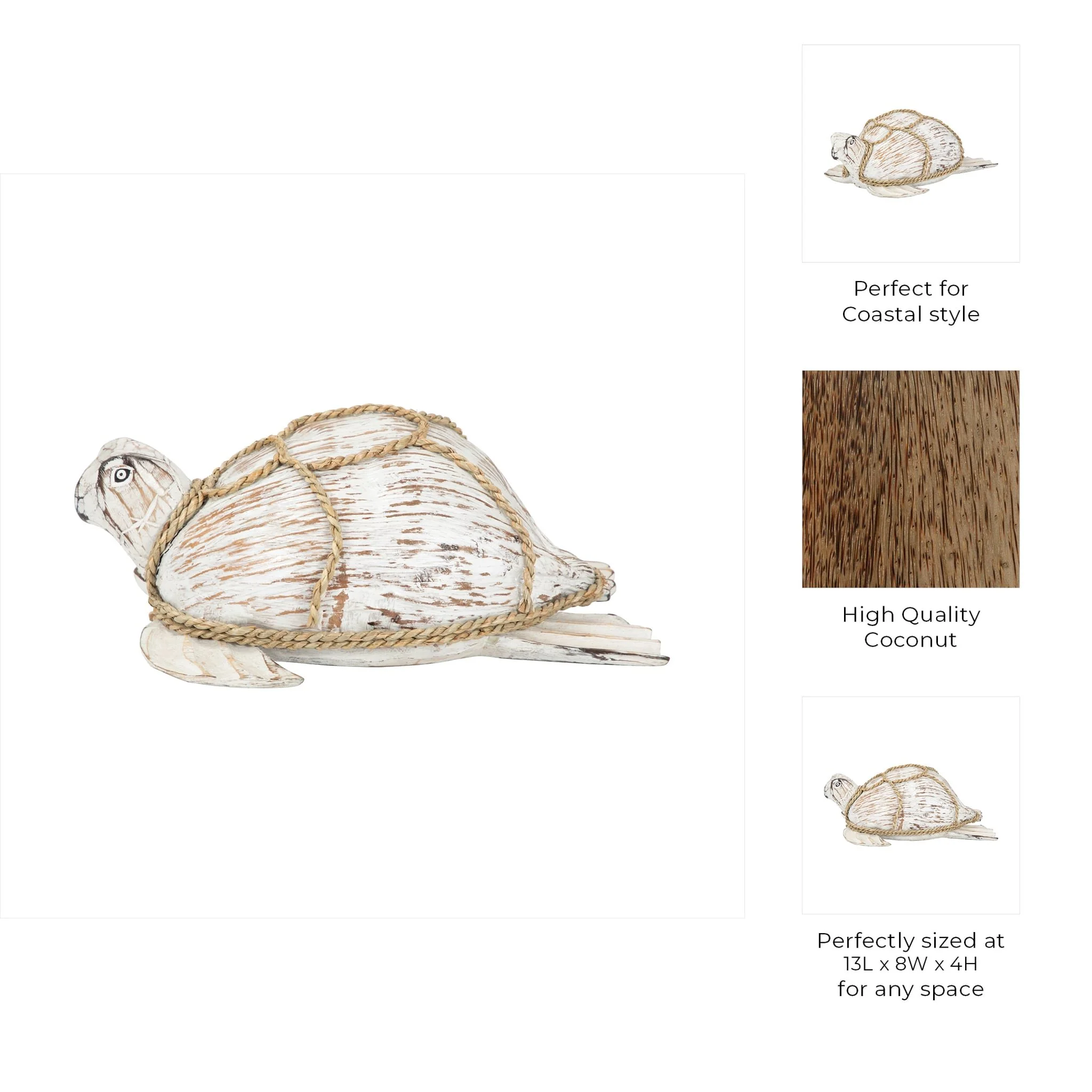 Coconut, 12"l Turtle, White/brown - Image 9