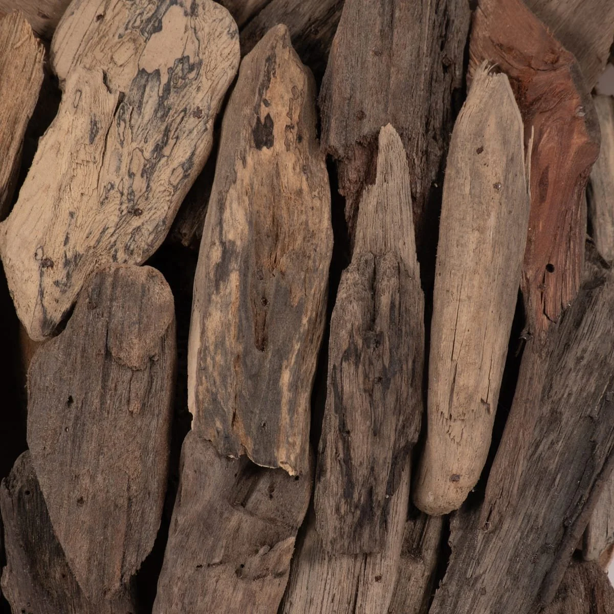 Driftwood, 12"h Turtle Deco, Natural - Image 4