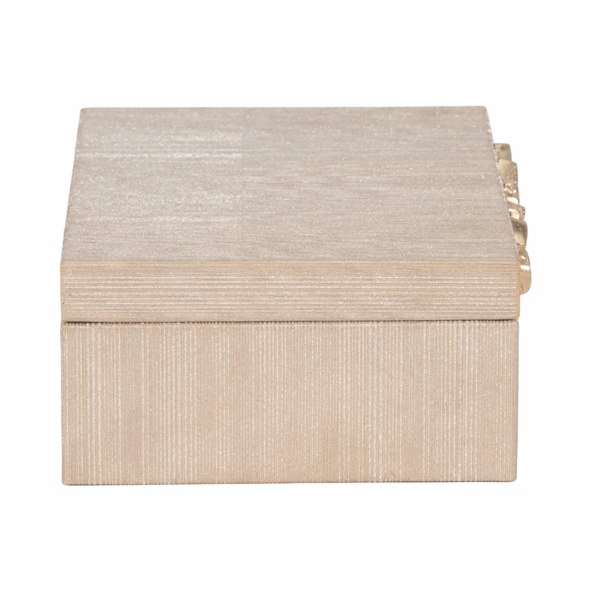 Faux Leather, 12" Shimmer Box, Champagne - Image 3